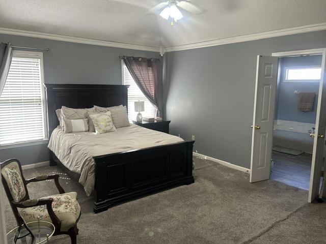 4358 Eckois Cv Property Photo 6