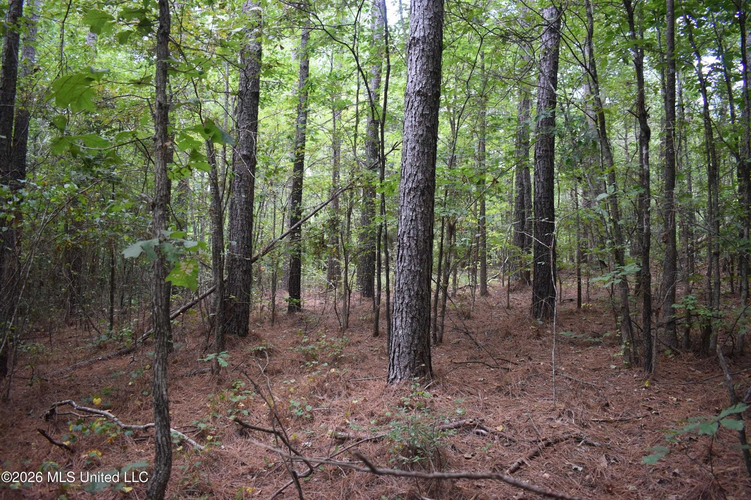 700 Front Rd Property Photo 15