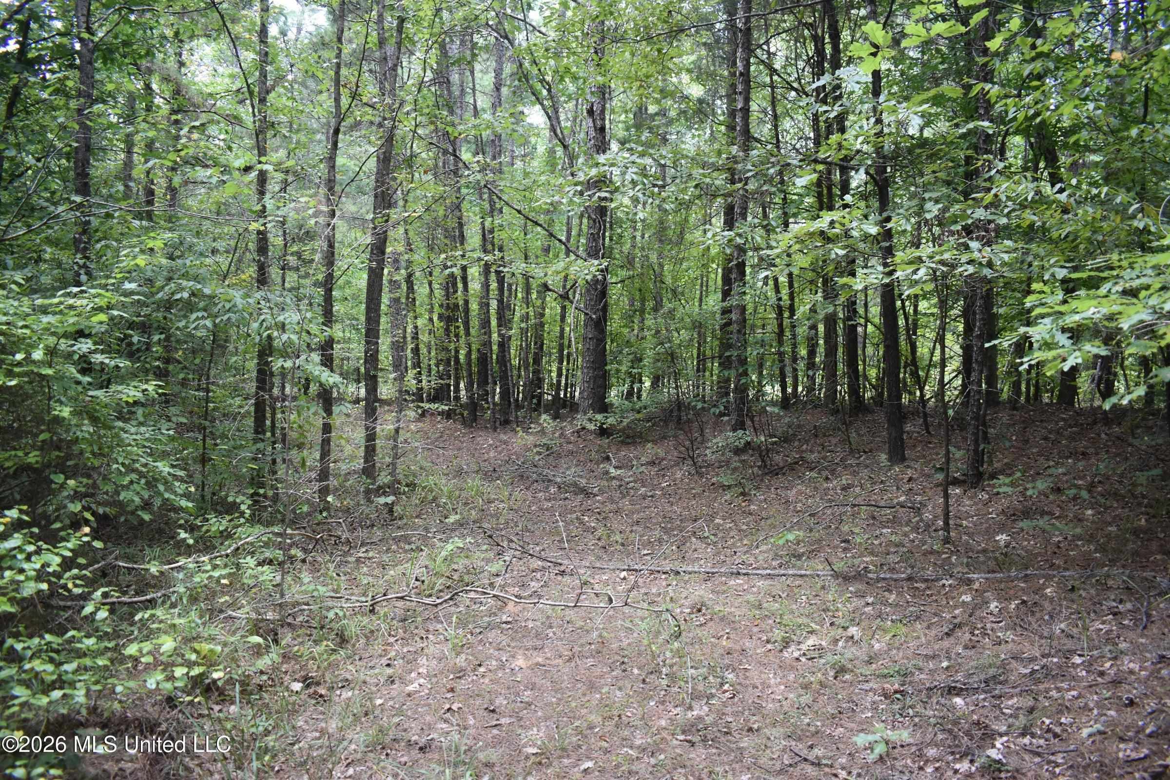 700 Front Rd Property Photo 16