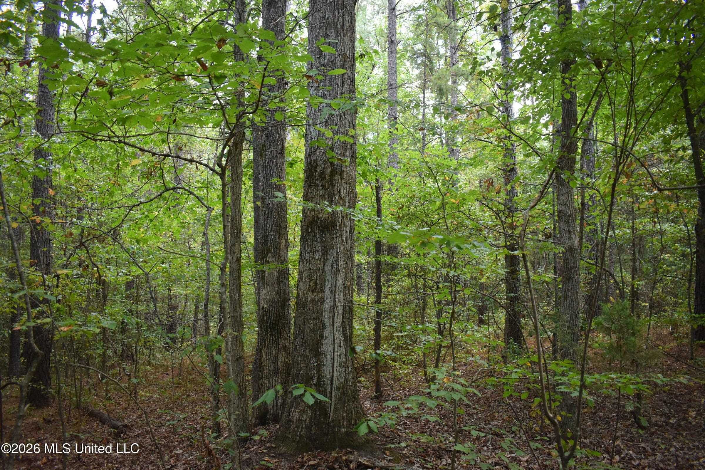 700 Front Rd Property Photo 18