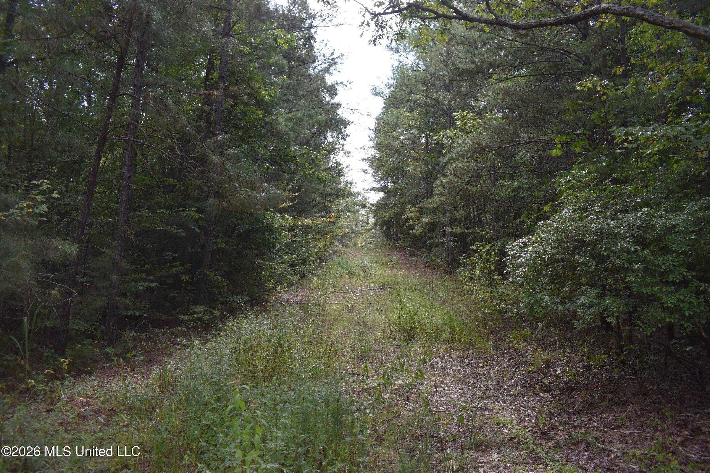 700 Front Rd Property Photo 19