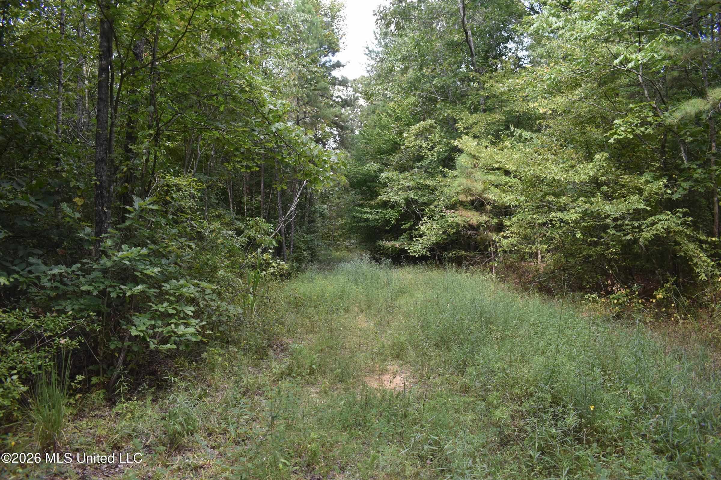 700 Front Rd Property Photo 20