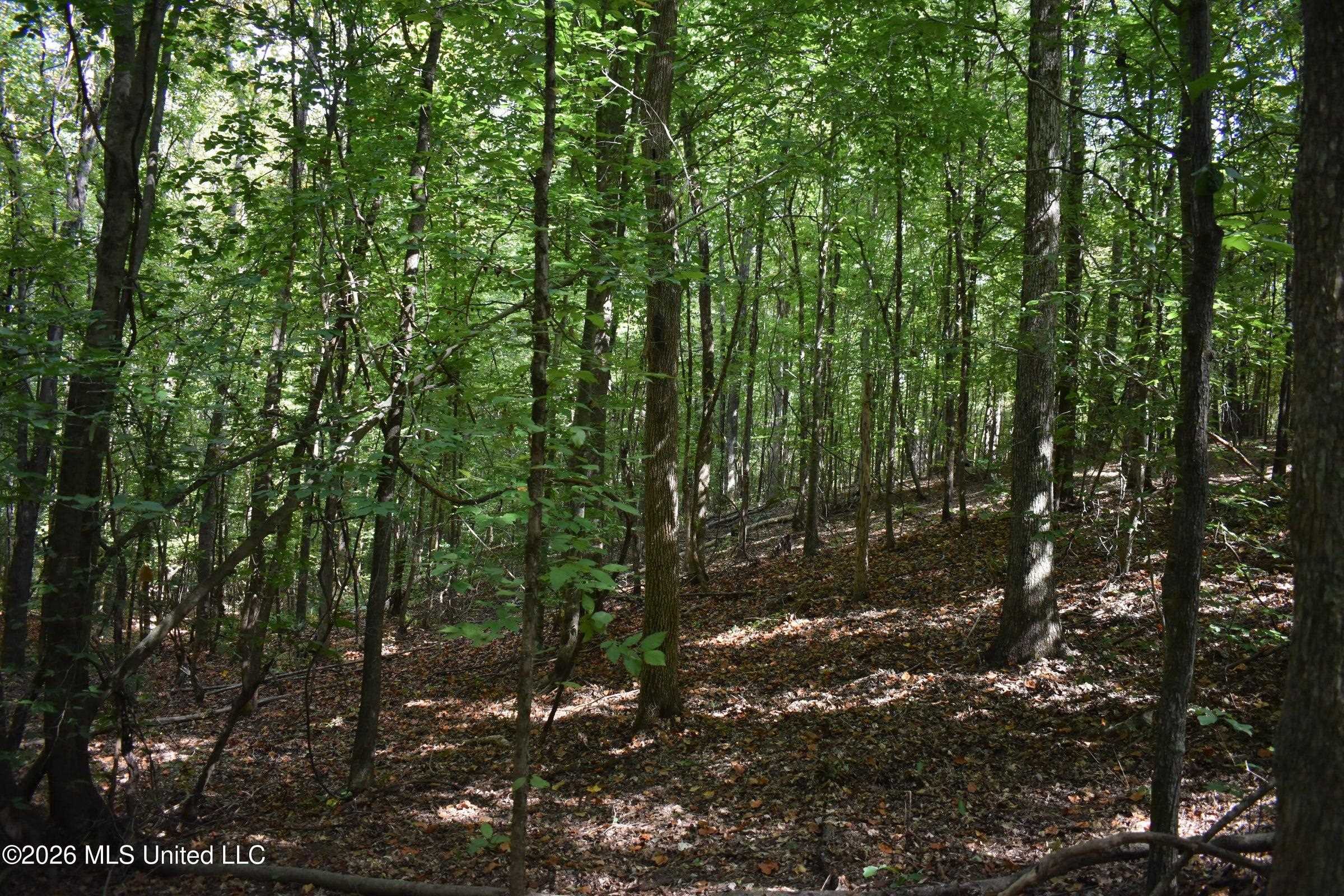 700 Front Rd Property Photo 21