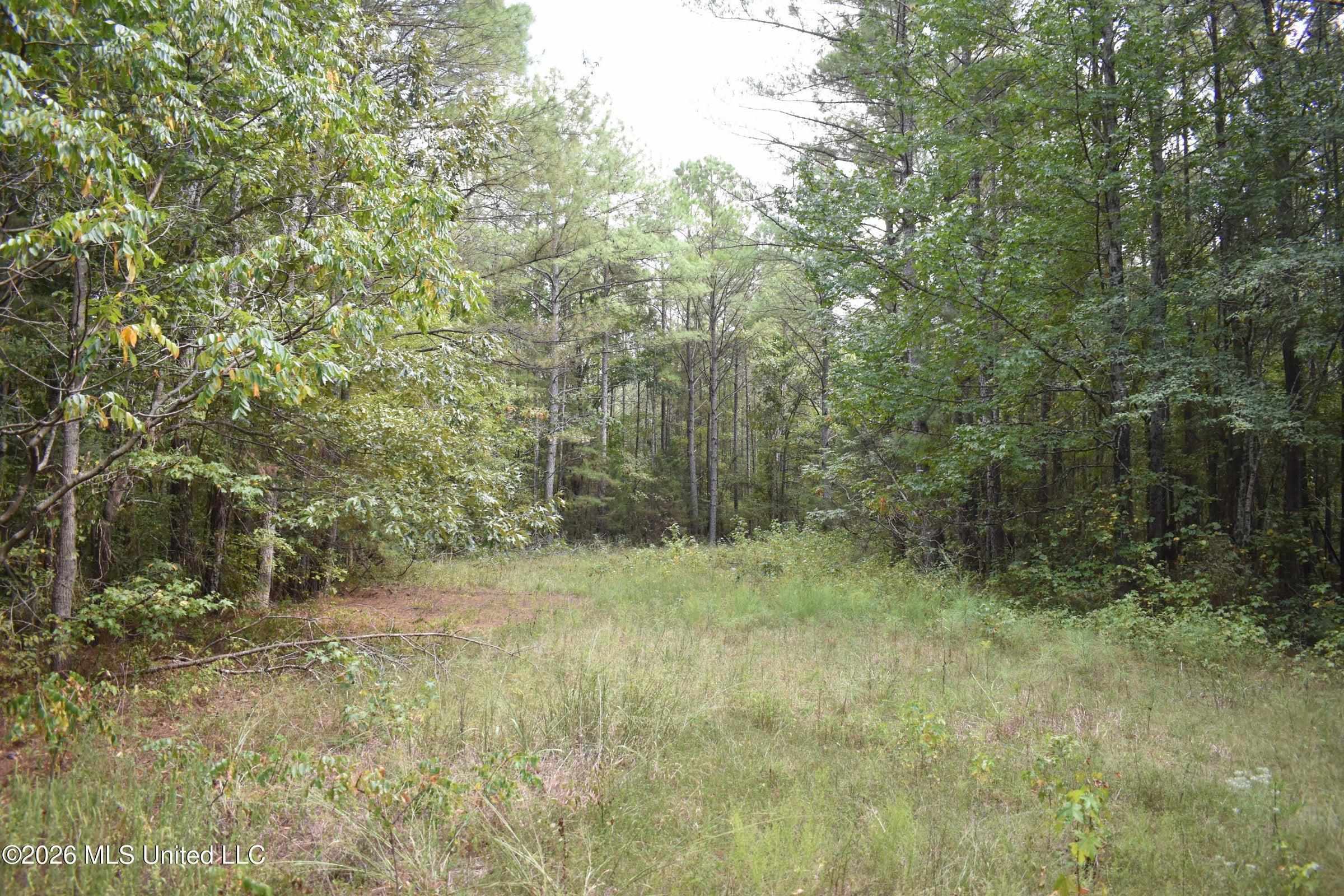 700 Front Rd Property Photo 22