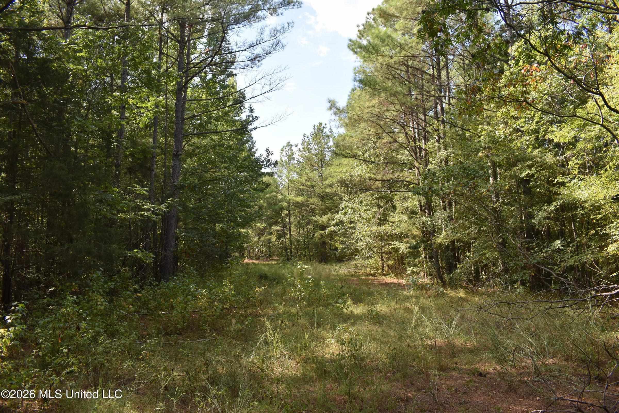 700 Front Rd Property Photo 23