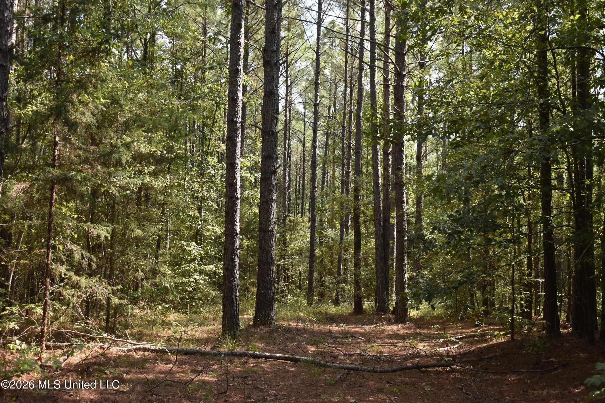 700 Front Rd Property Photo 24