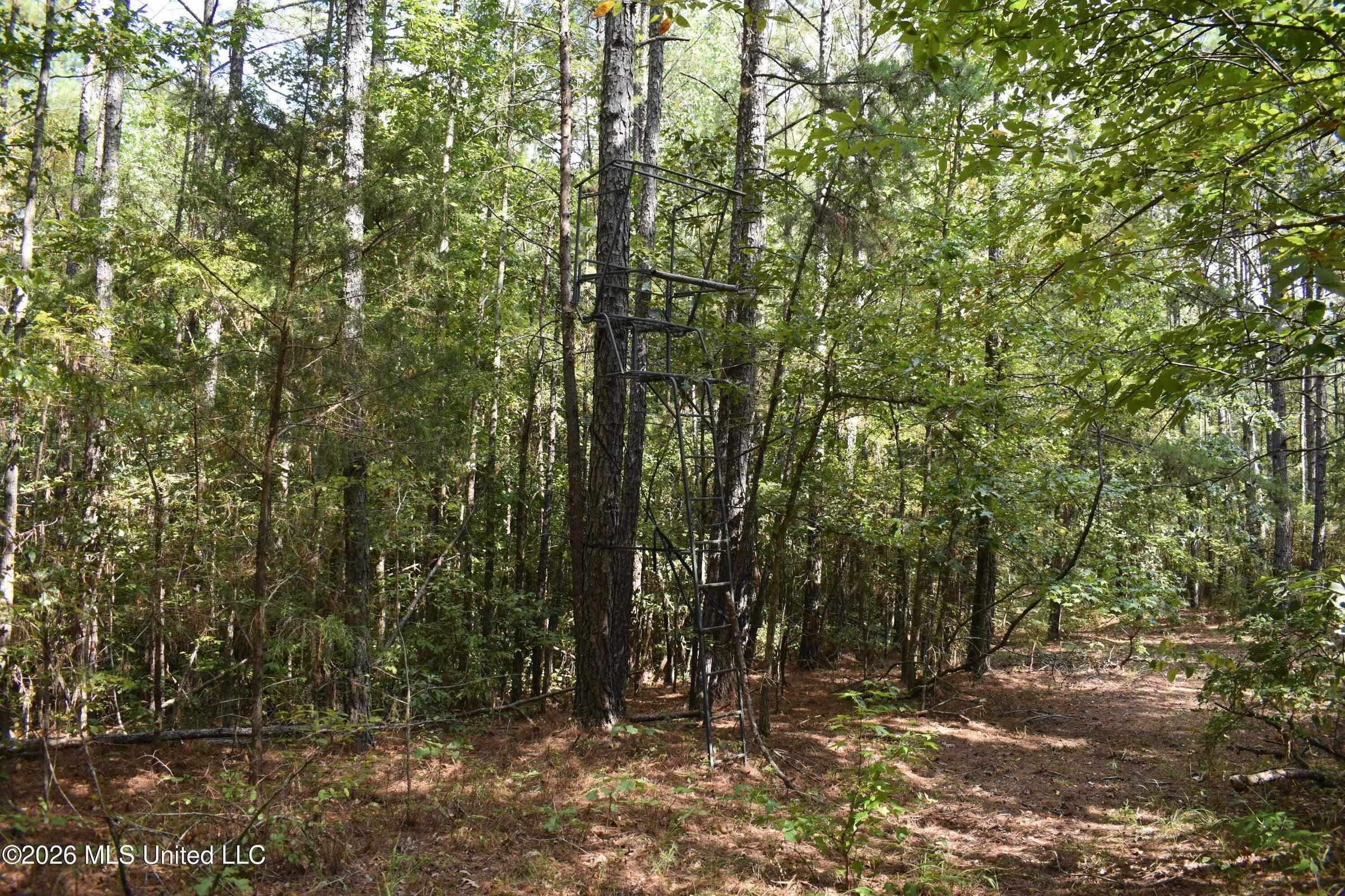 700 Front Rd Property Photo 25