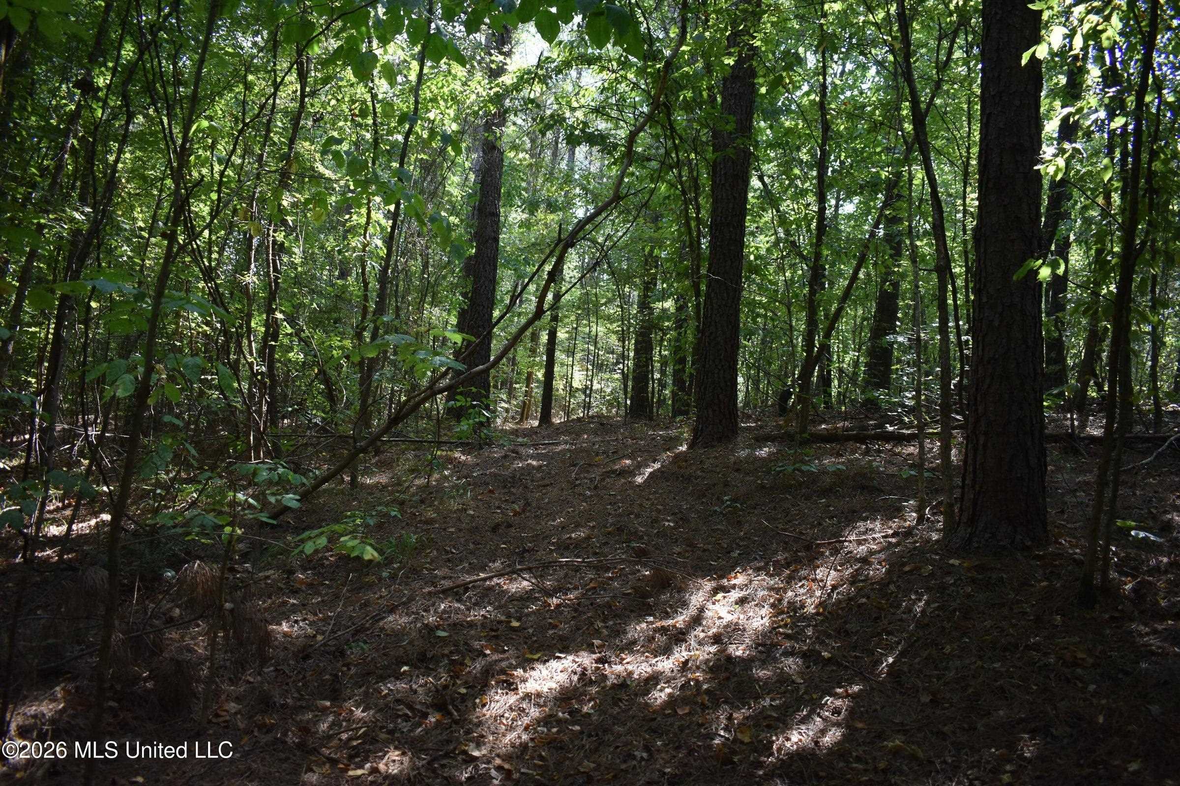 700 Front Rd Property Photo 27