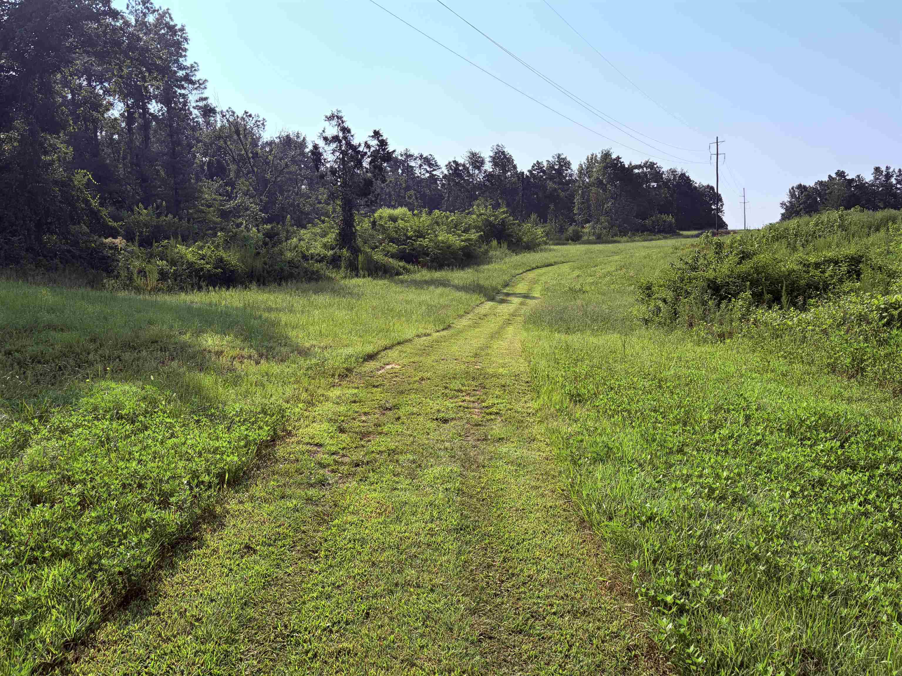 0 Van Buren Rd Property Photo 5