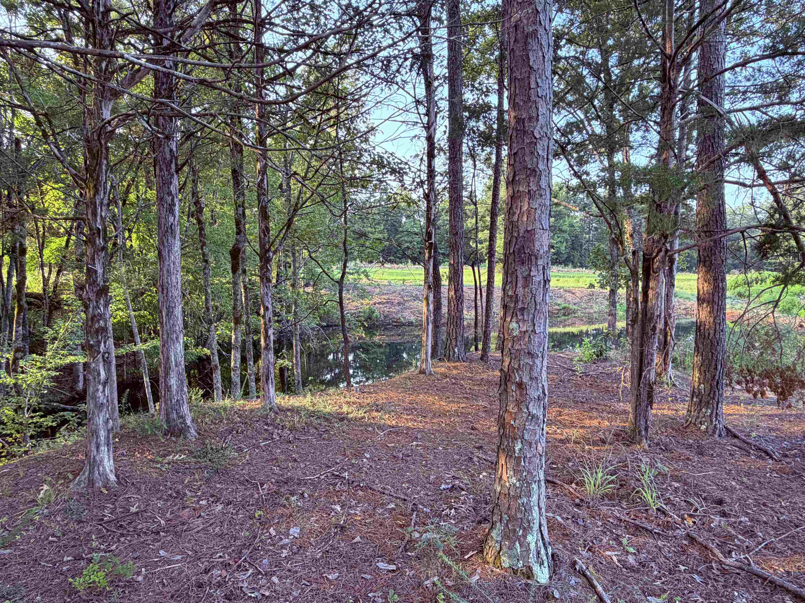 0 Van Buren Rd Property Photo 7