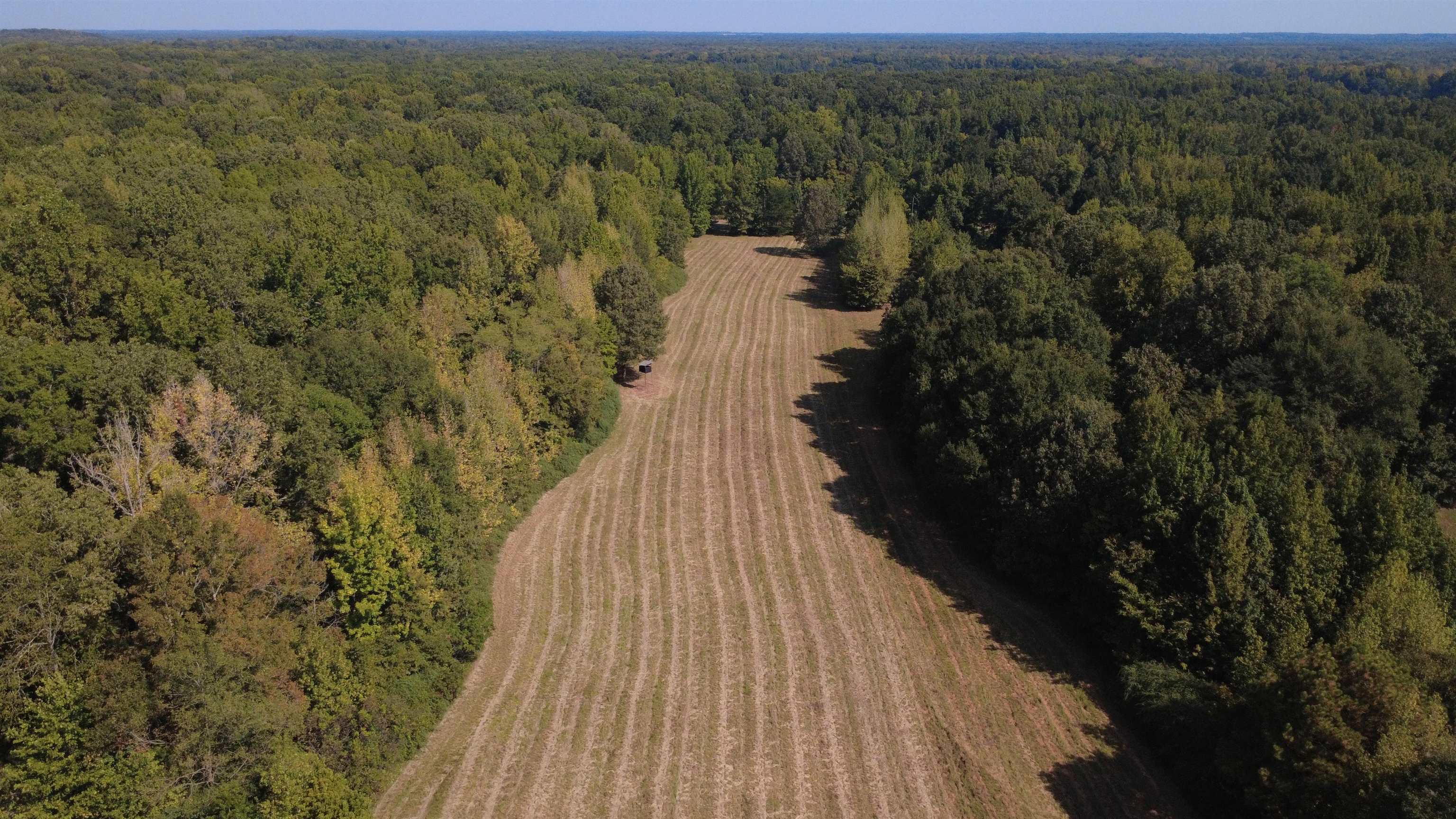 13318 Vildo Rd Property Photo 14