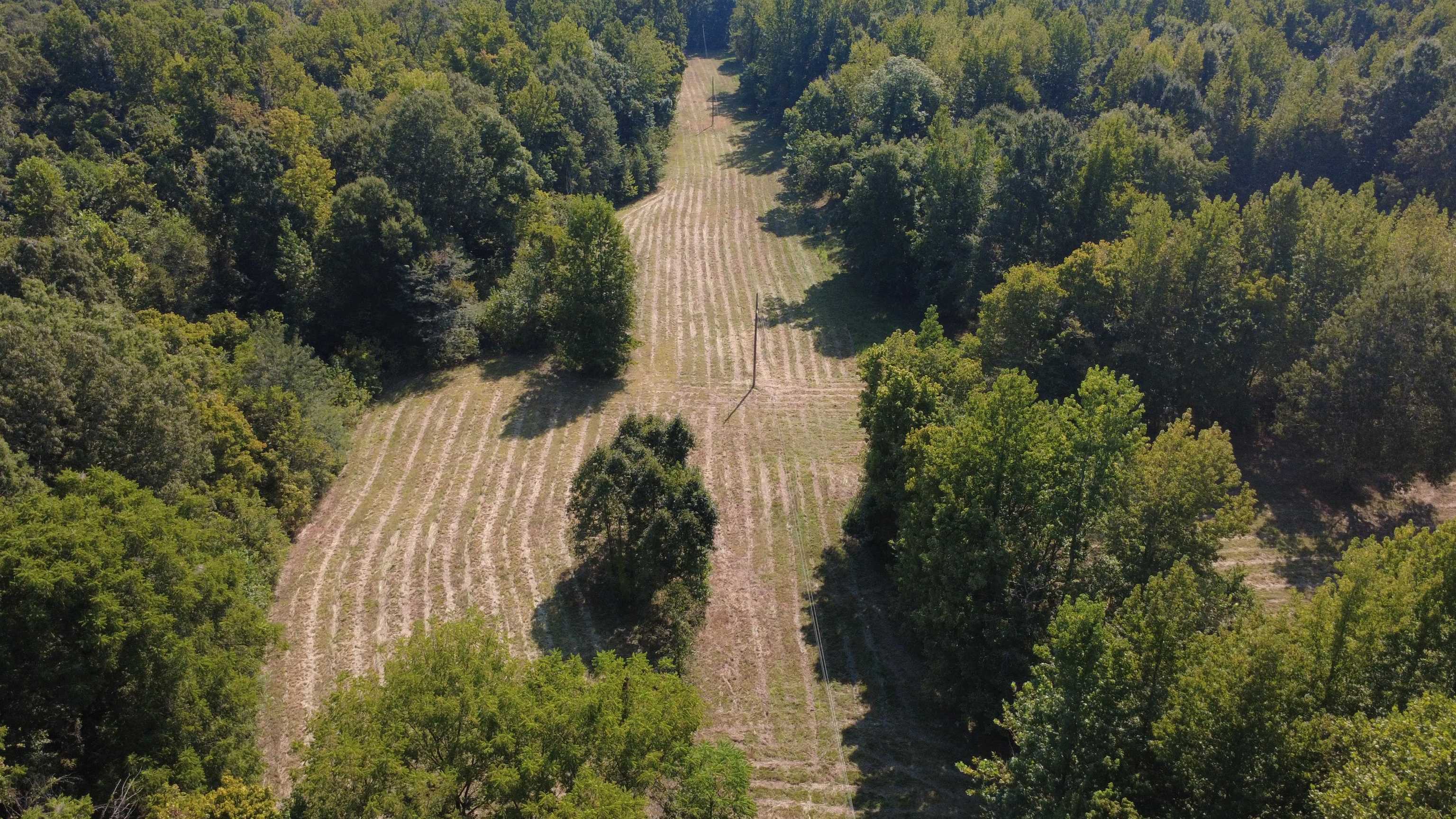 13318 Vildo Rd Property Photo 15