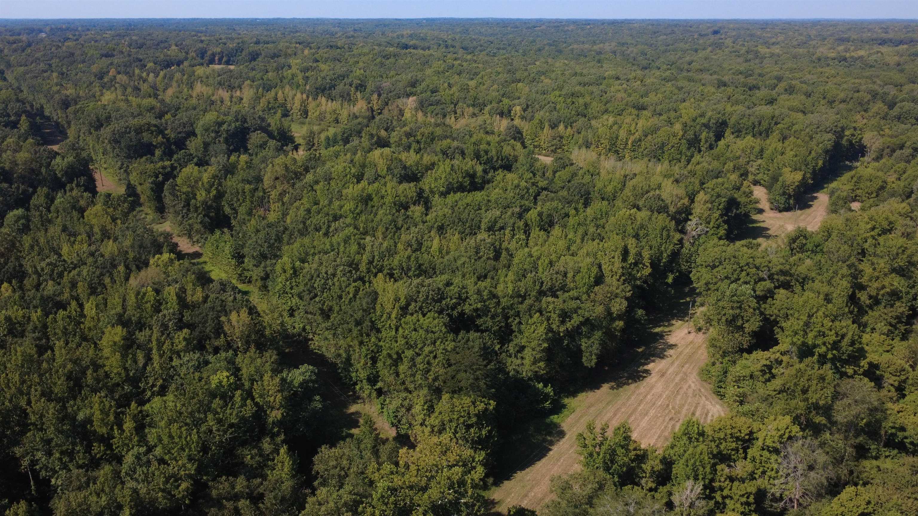 13318 Vildo Rd Property Photo 17