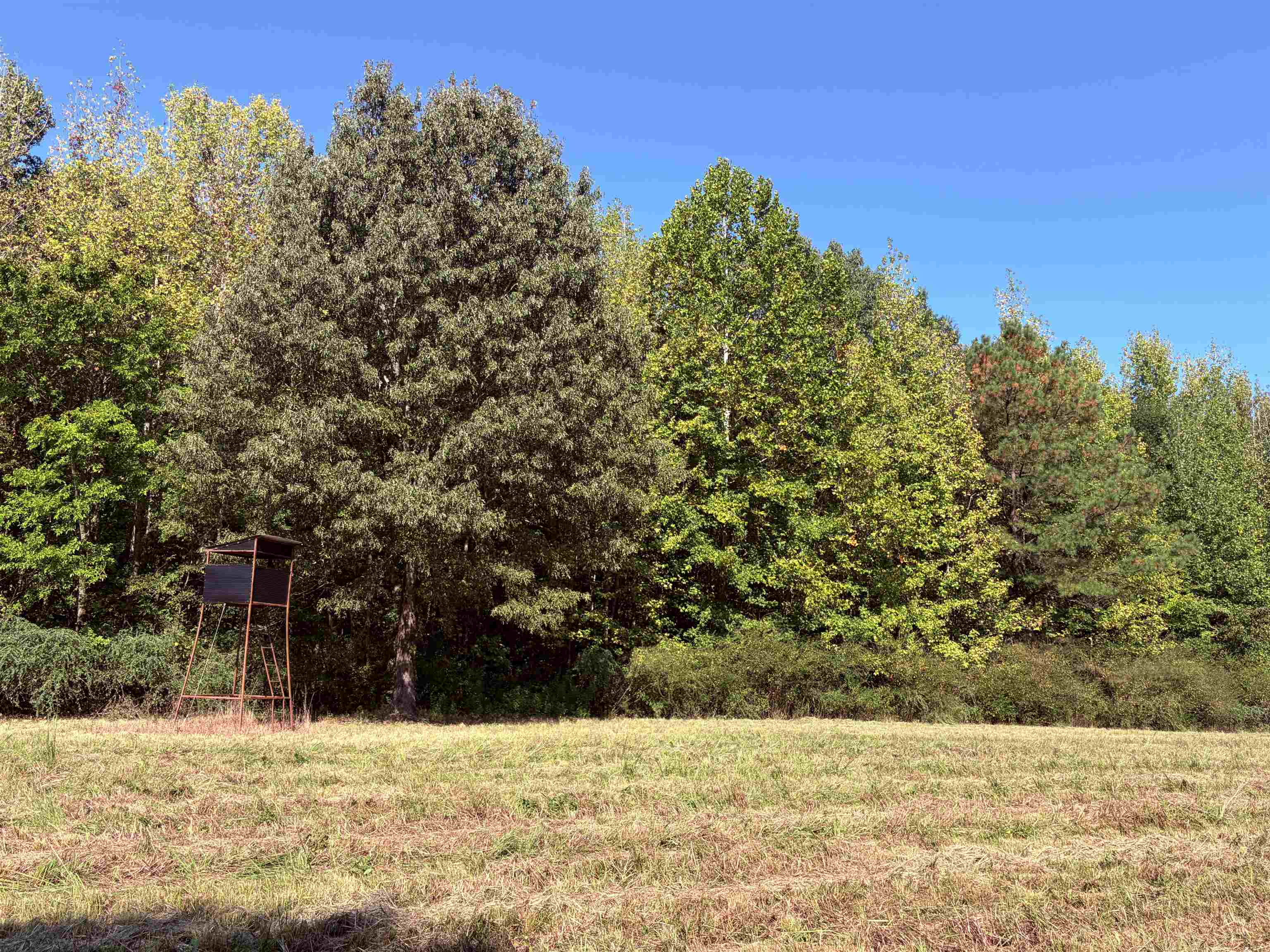 13318 Vildo Rd Property Photo 20