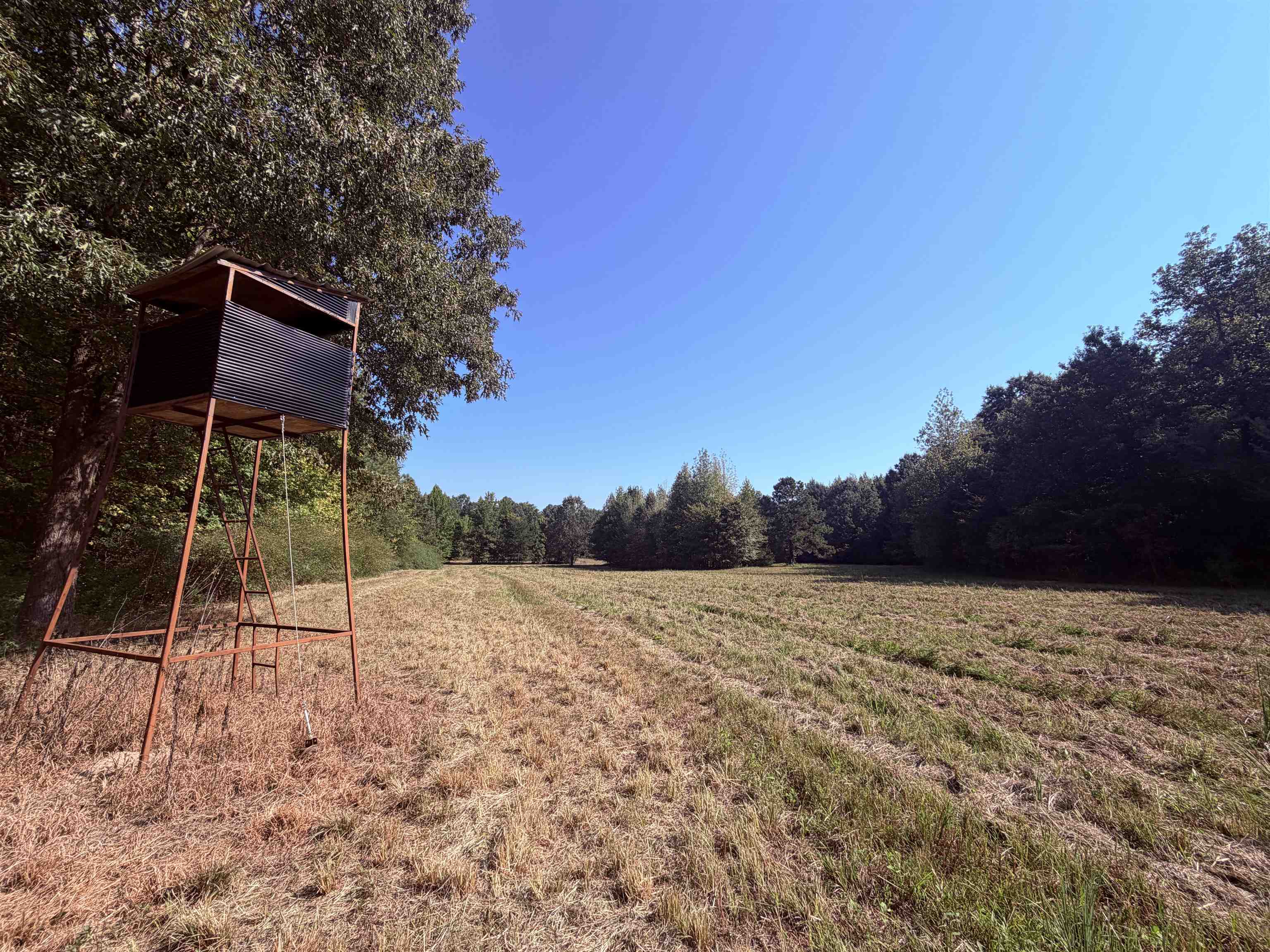 13318 Vildo Rd Property Photo 21
