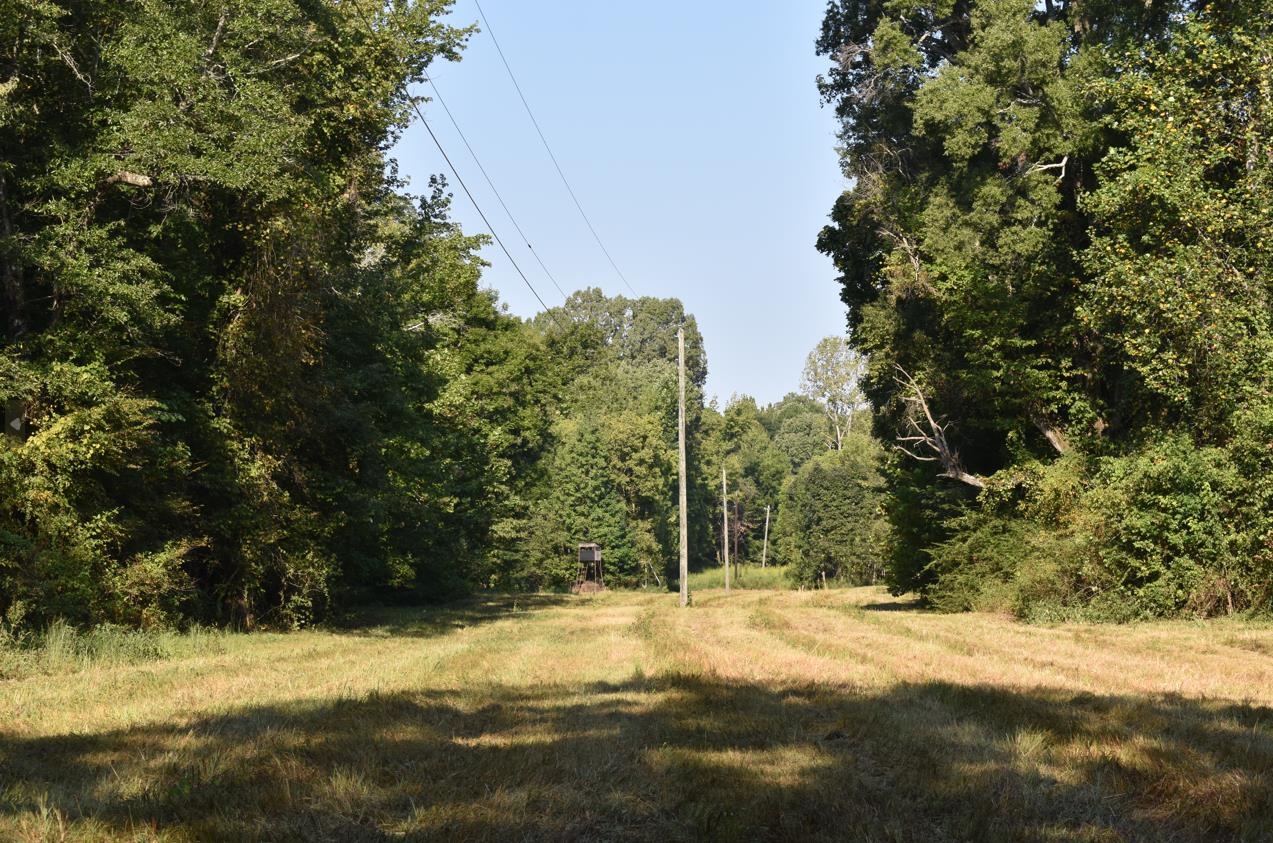 13318 Vildo Rd Property Photo 22