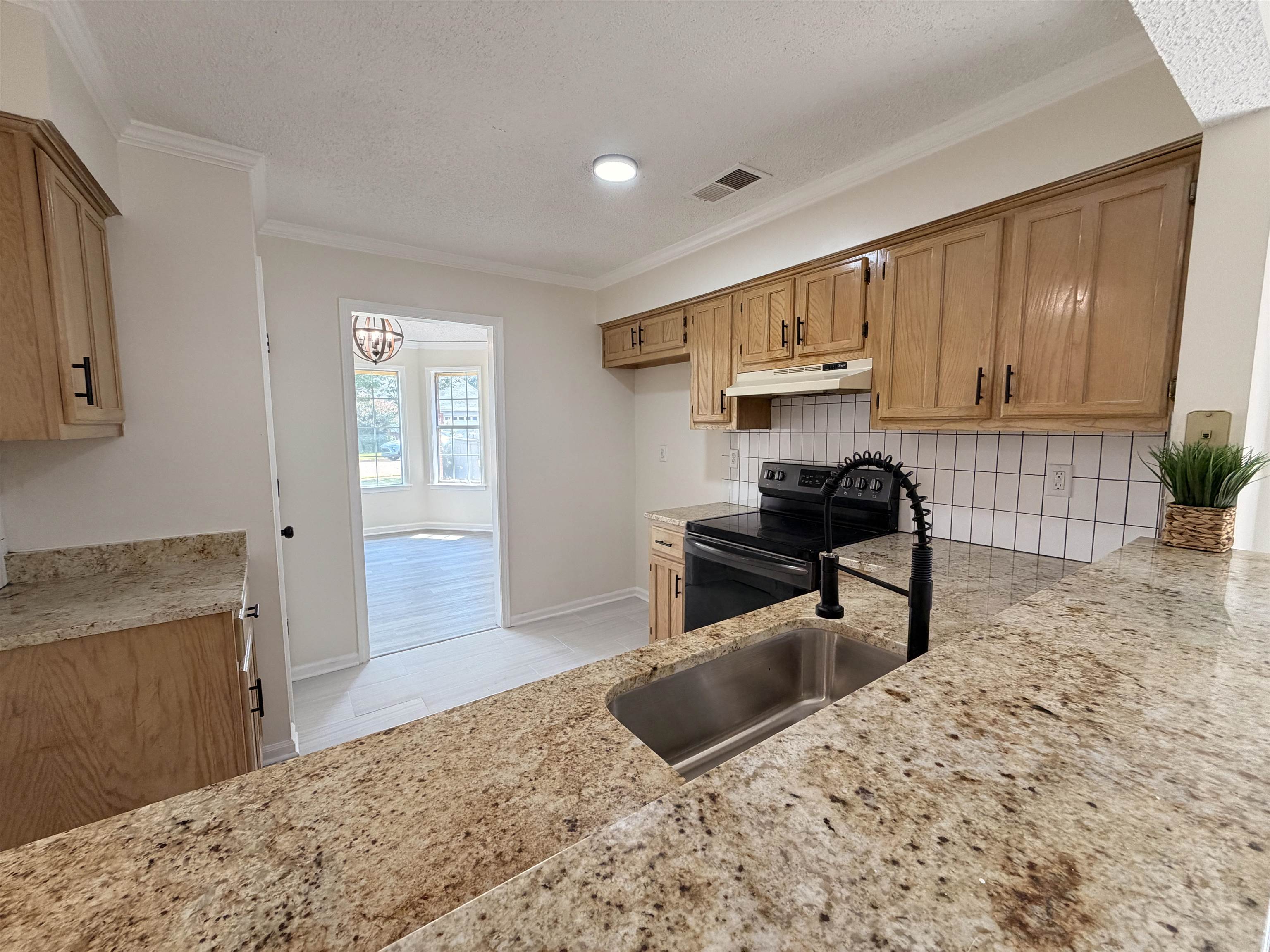 2195 Lake Springs Ln Property Photo 9