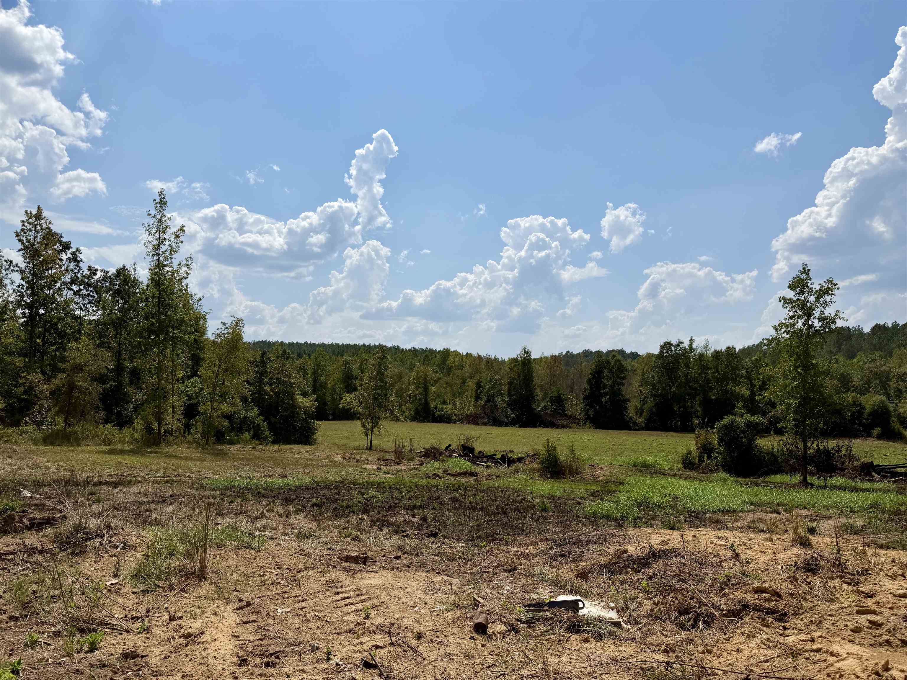 3592 Rose Creek Rd Property Photo 4