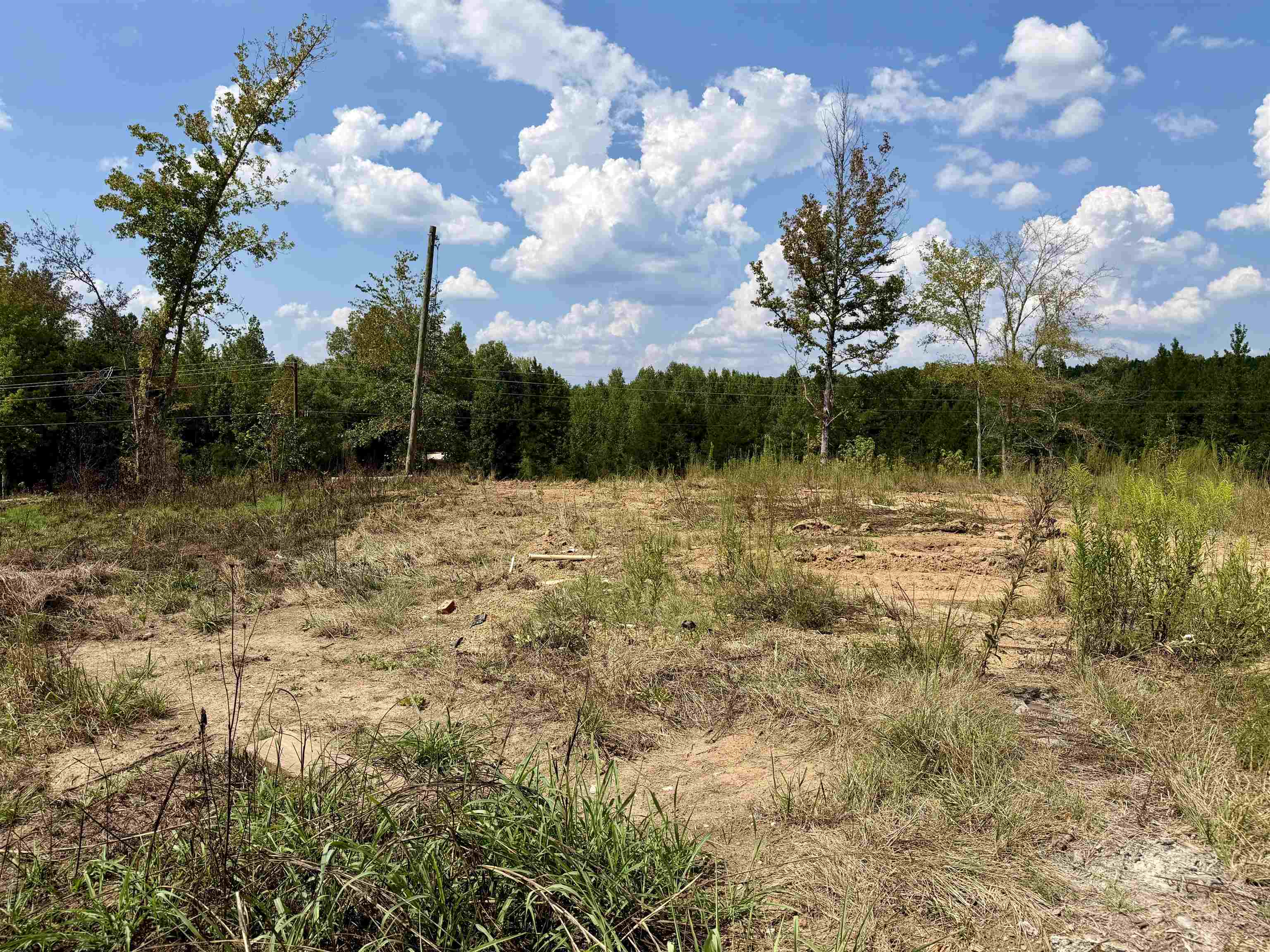3592 Rose Creek Rd Property Photo 5