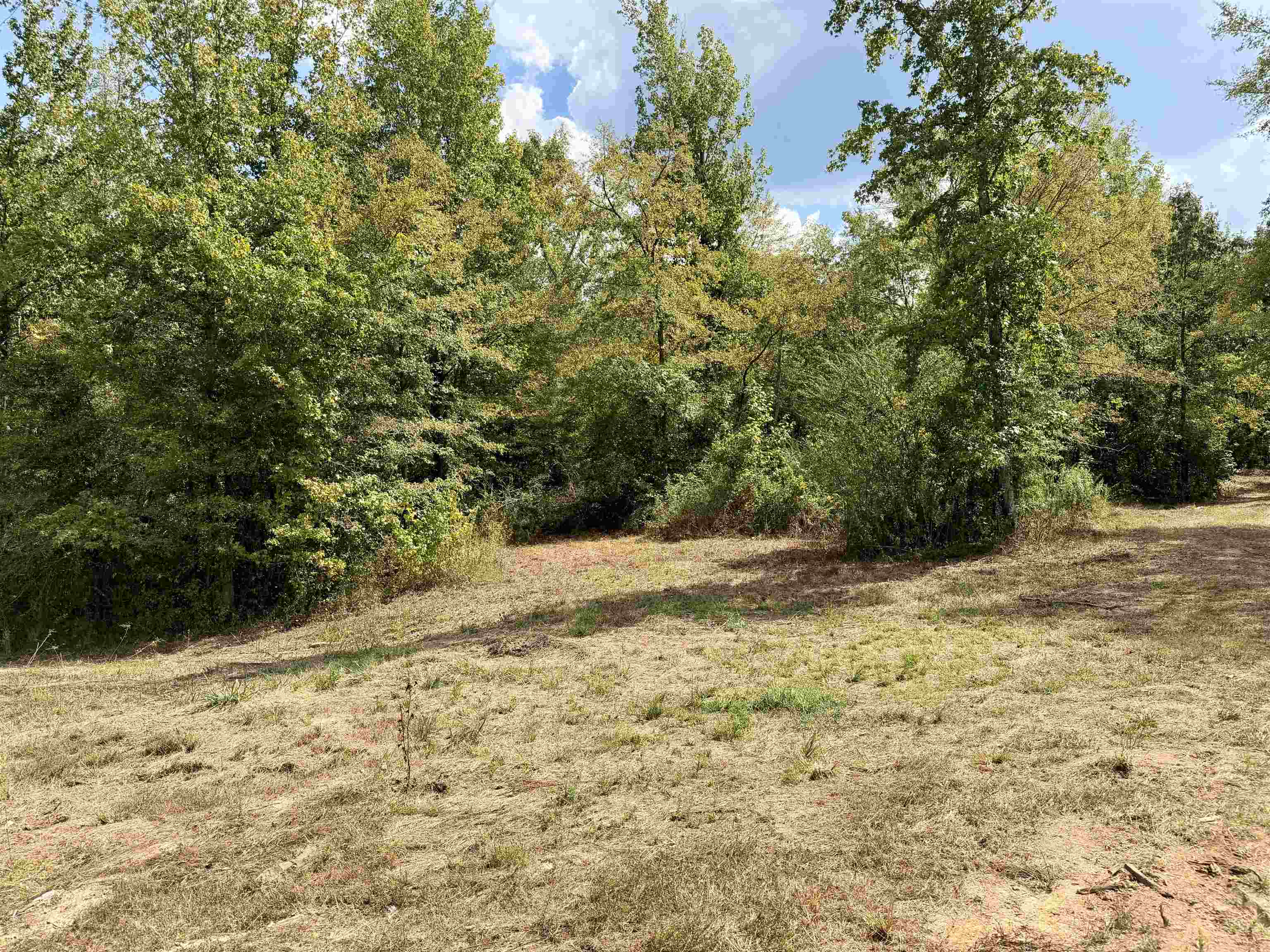 3592 Rose Creek Rd Property Photo 6