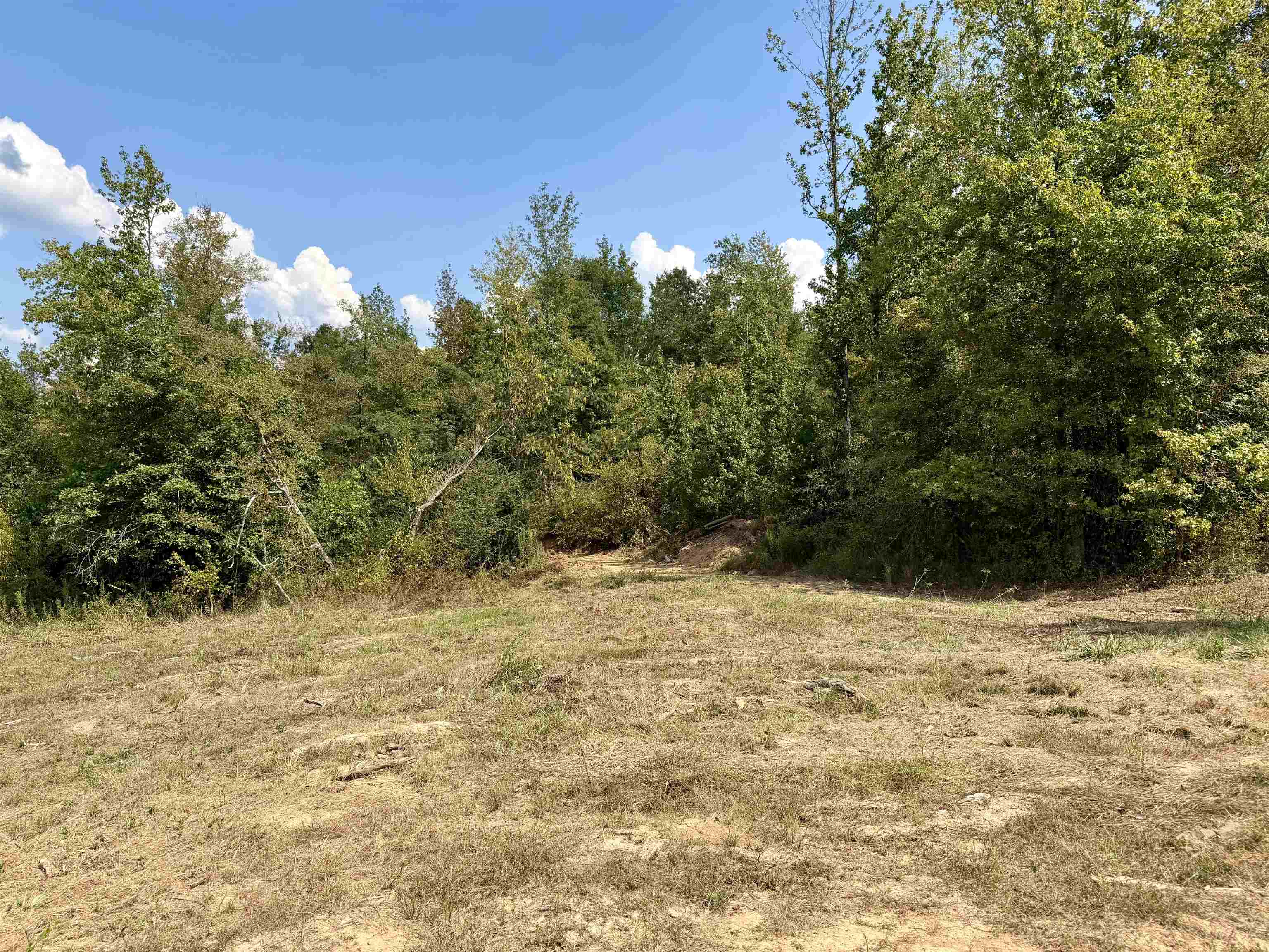3592 Rose Creek Rd Property Photo 7