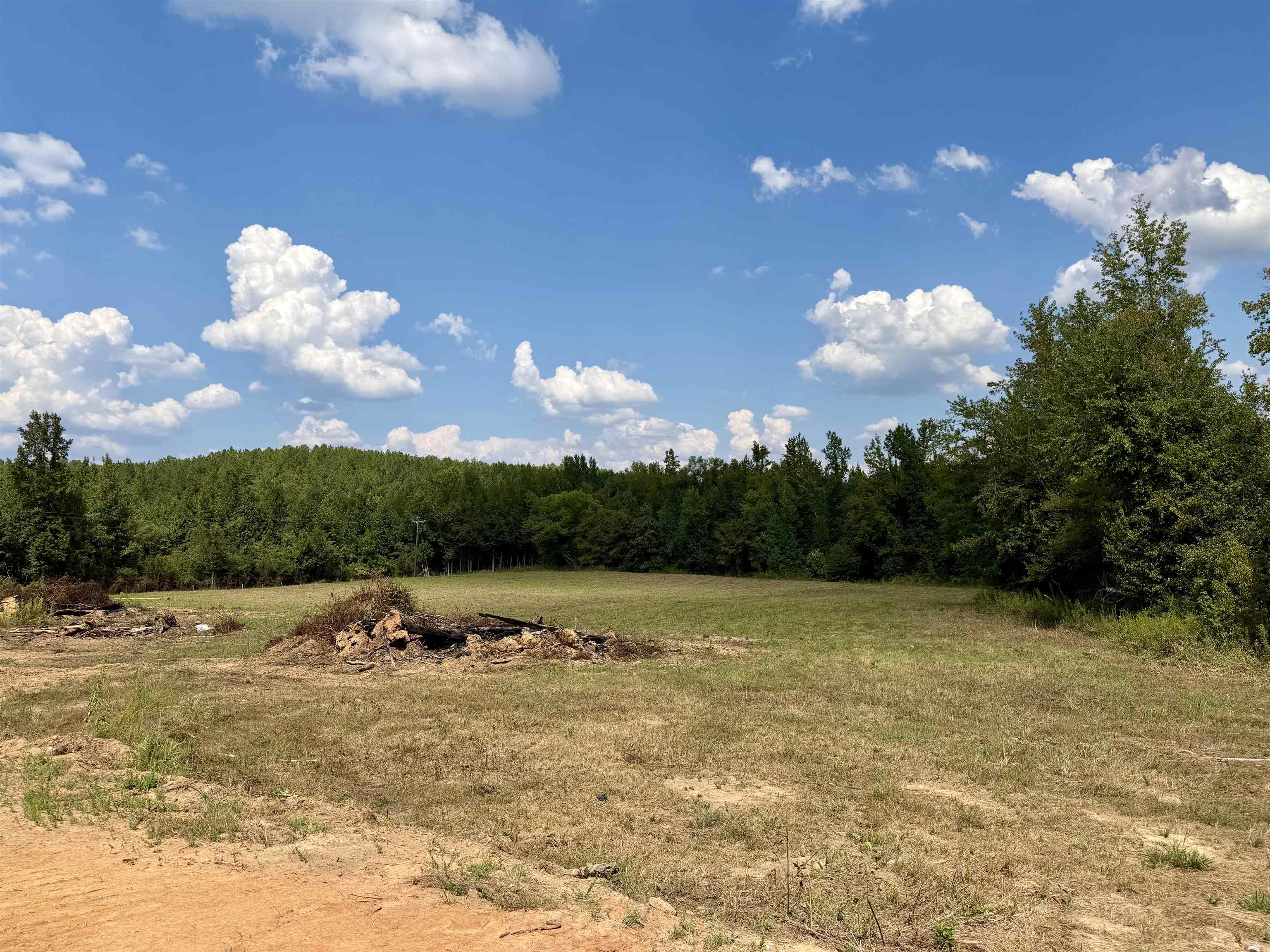 3592 Rose Creek Rd Property Photo 8