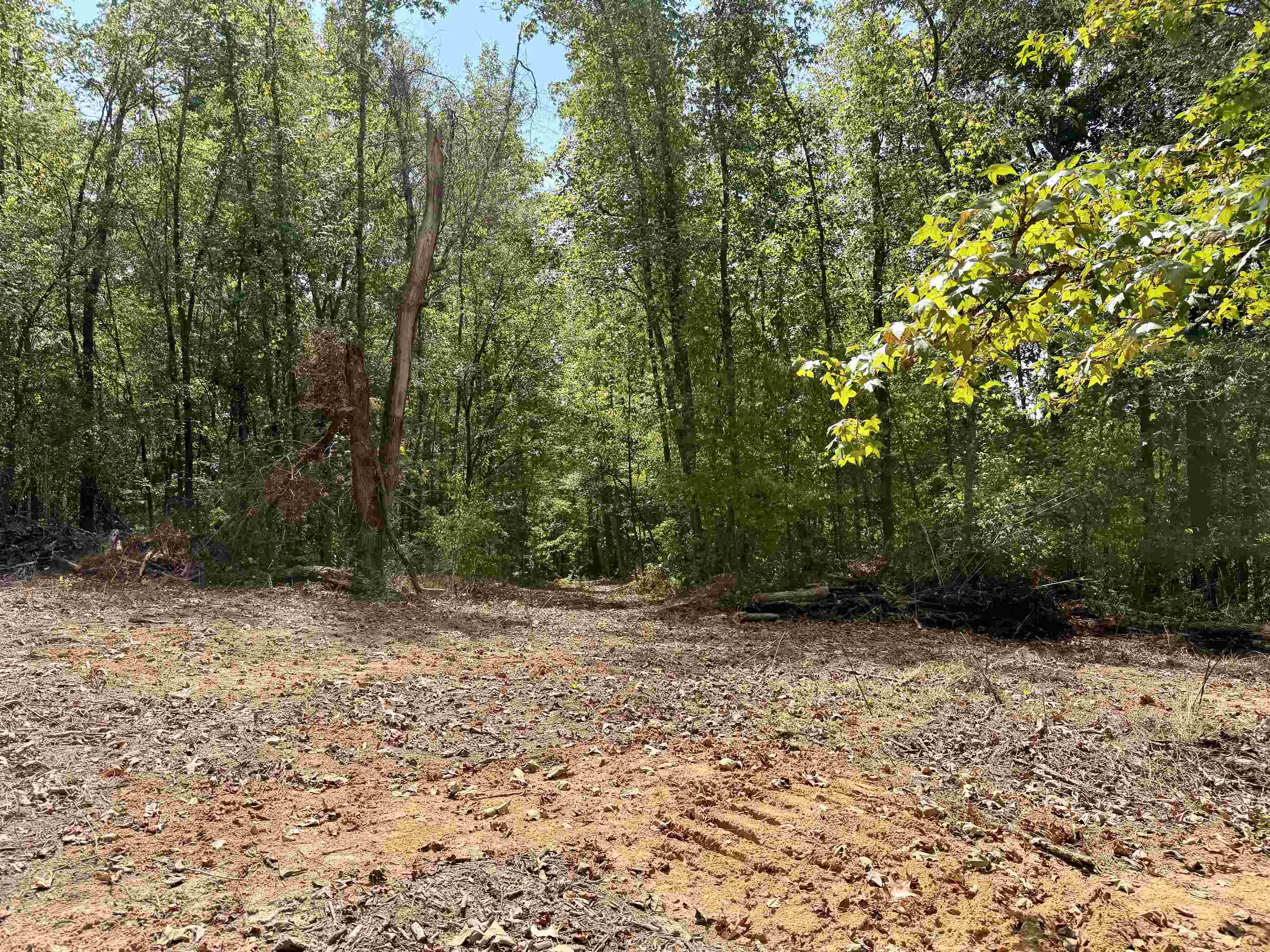 3592 Rose Creek Rd Property Photo 11