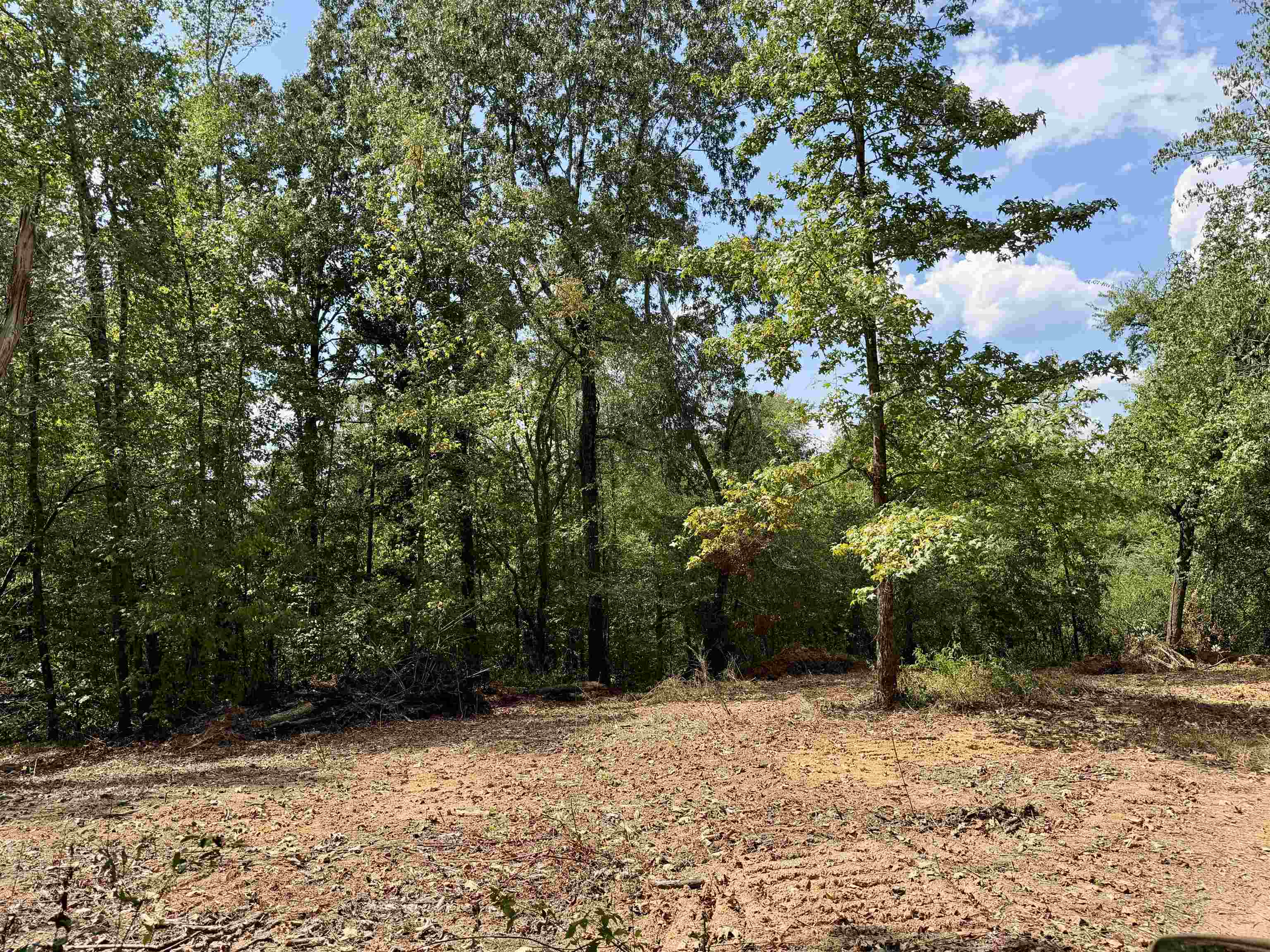 3592 Rose Creek Rd Property Photo 12