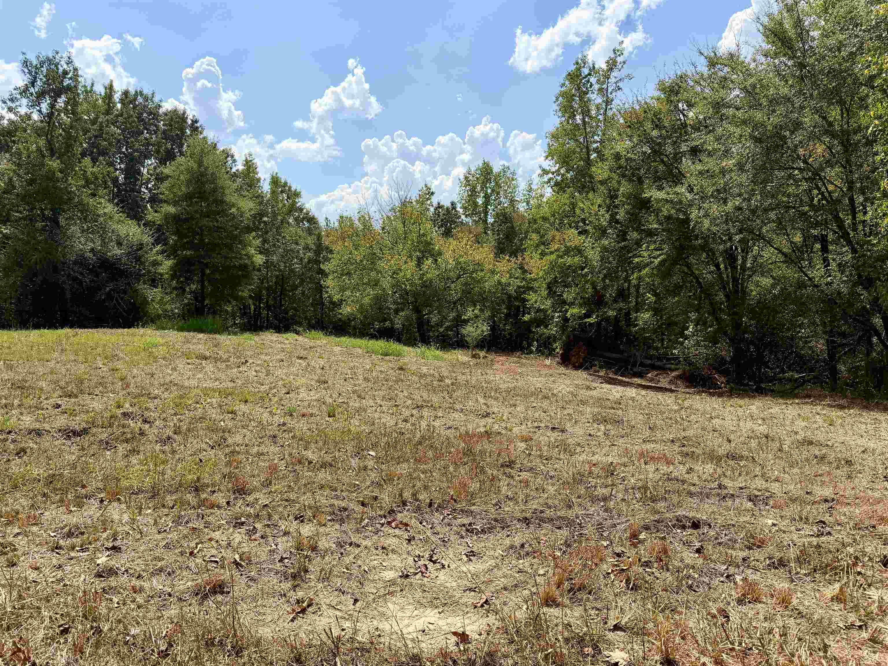 3592 Rose Creek Rd Property Photo 13