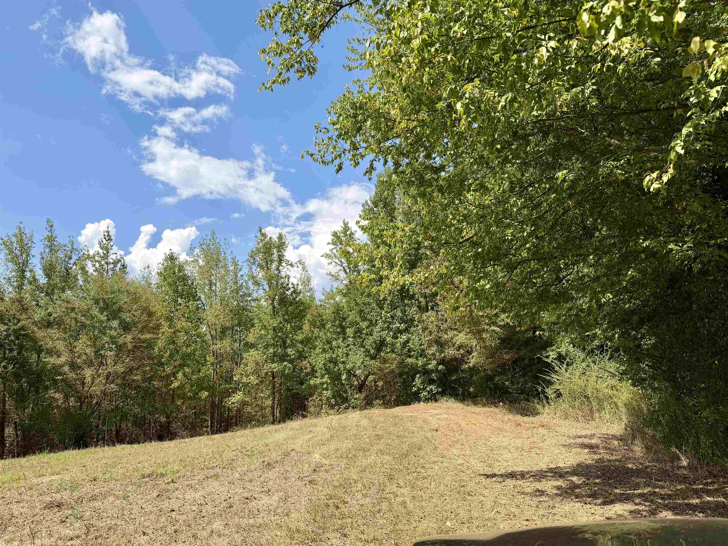 3592 Rose Creek Rd Property Photo 14