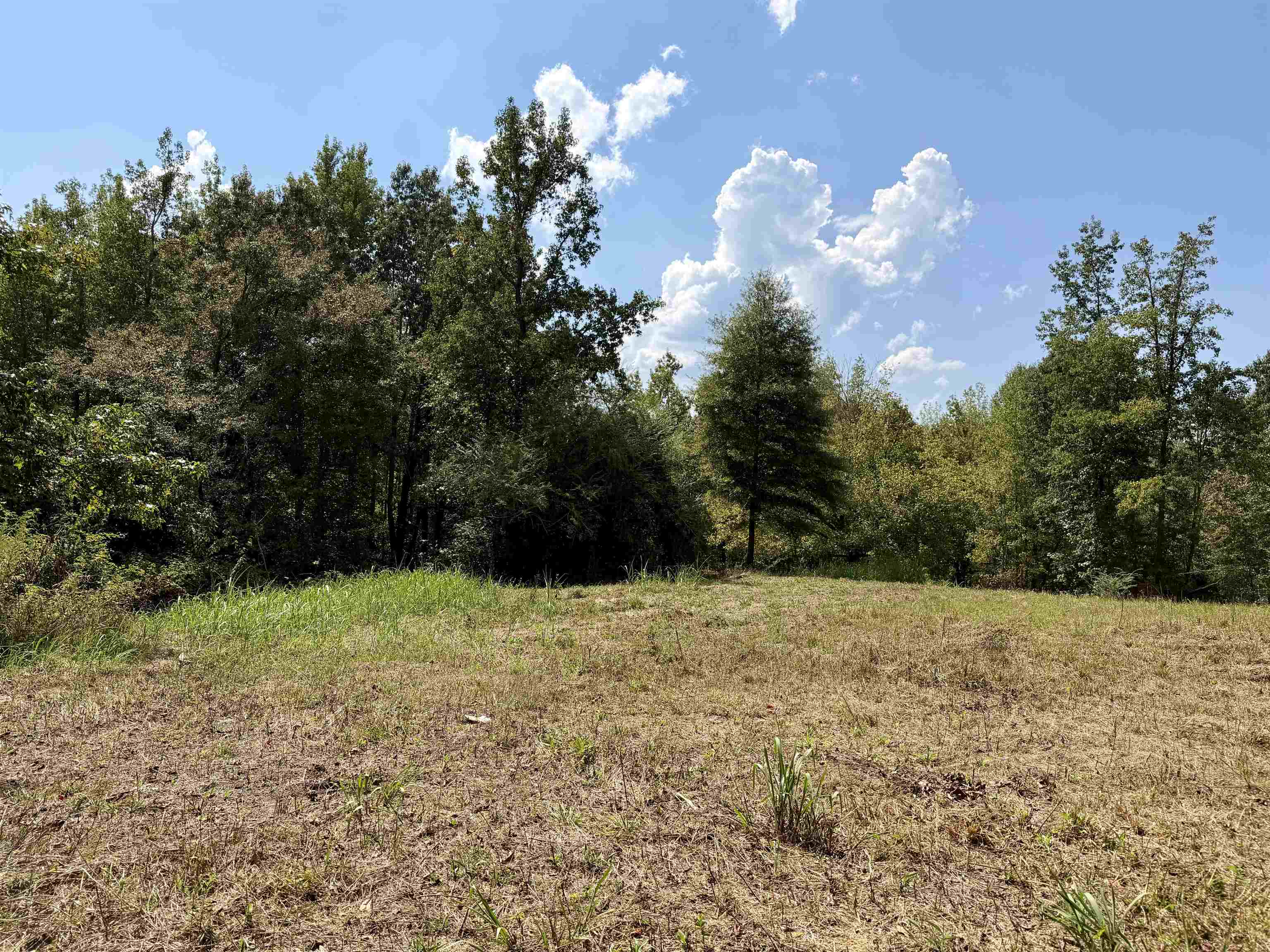 3592 Rose Creek Rd Property Photo 15