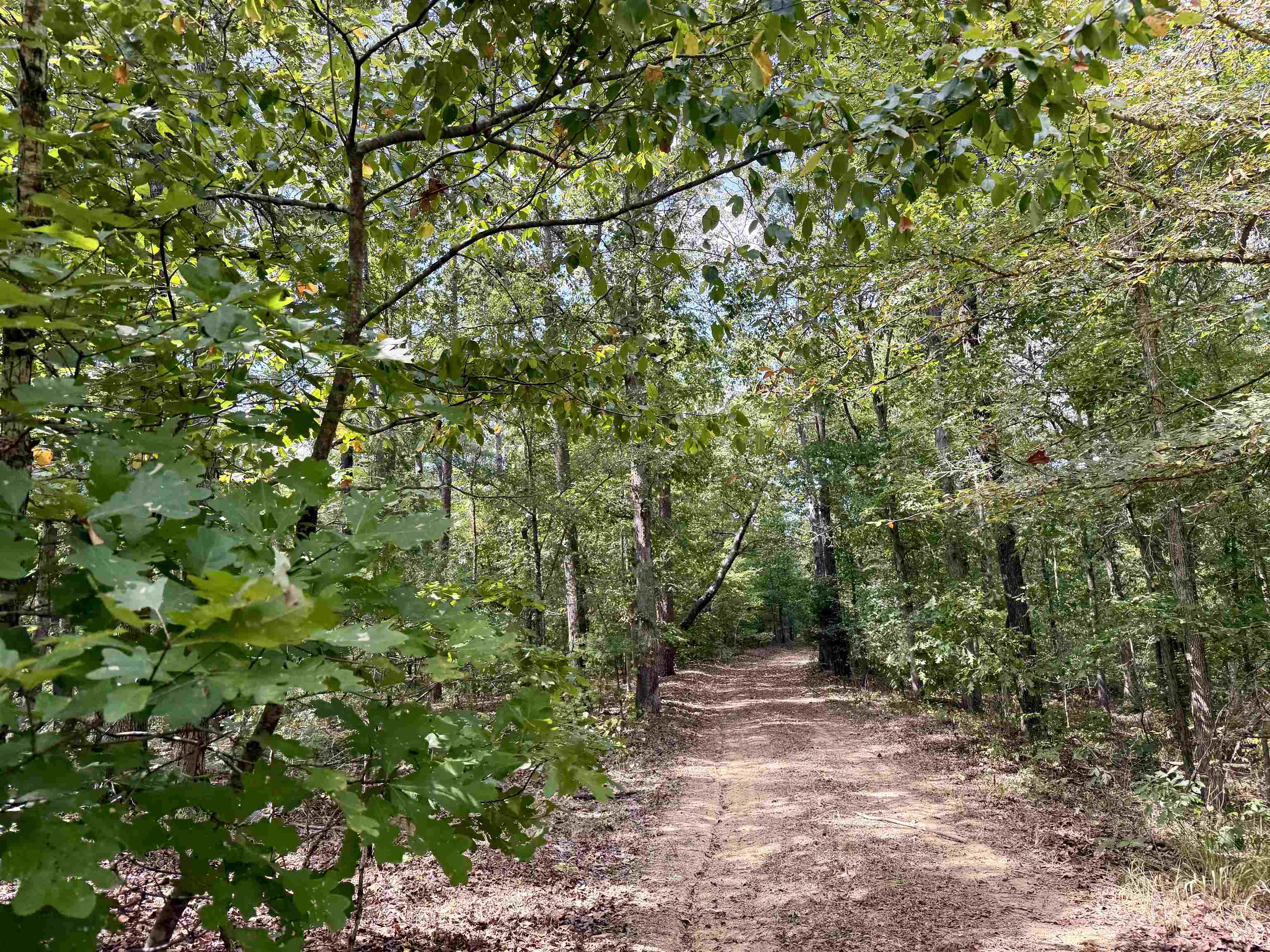 3592 Rose Creek Rd Property Photo 16