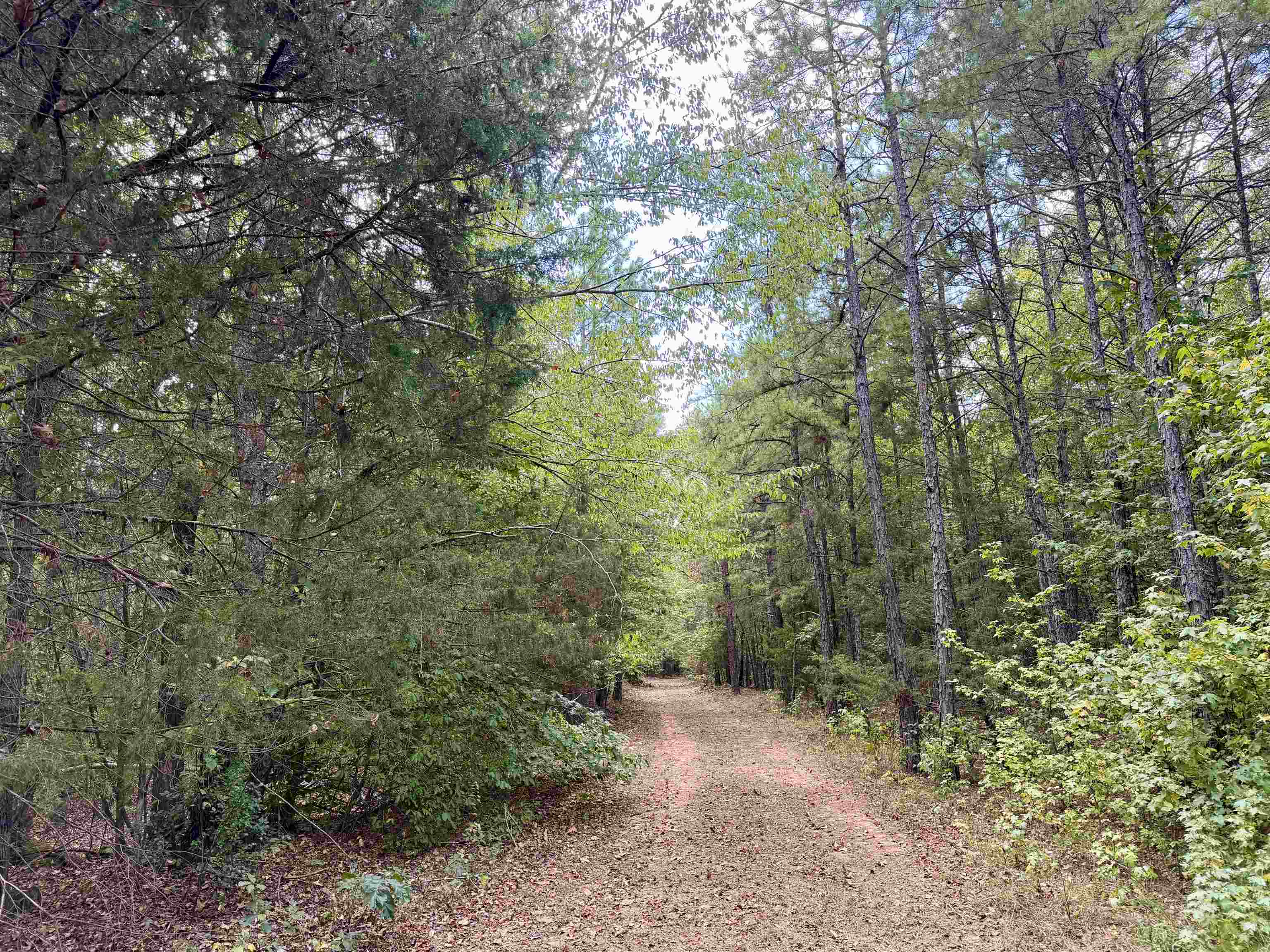 3592 Rose Creek Rd Property Photo 17
