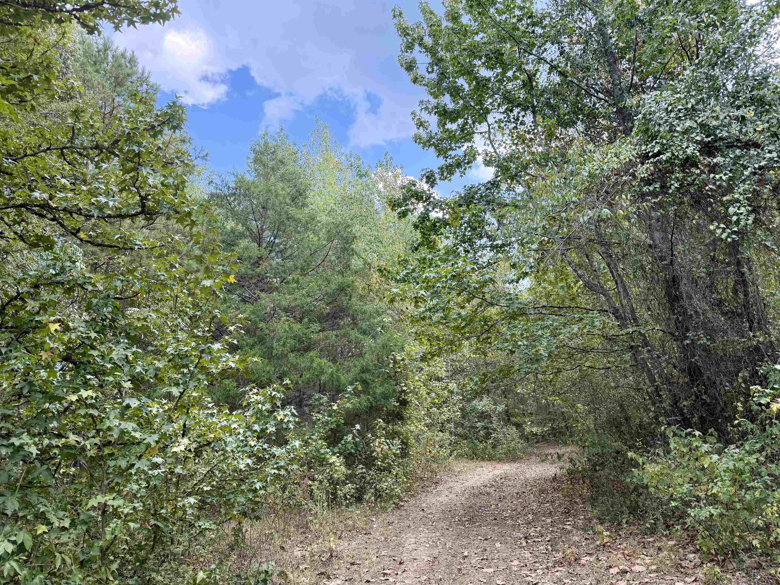 3592 Rose Creek Rd Property Photo 18