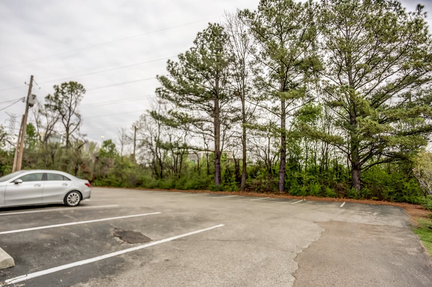 1086 W Rex Rd Property Photo 4