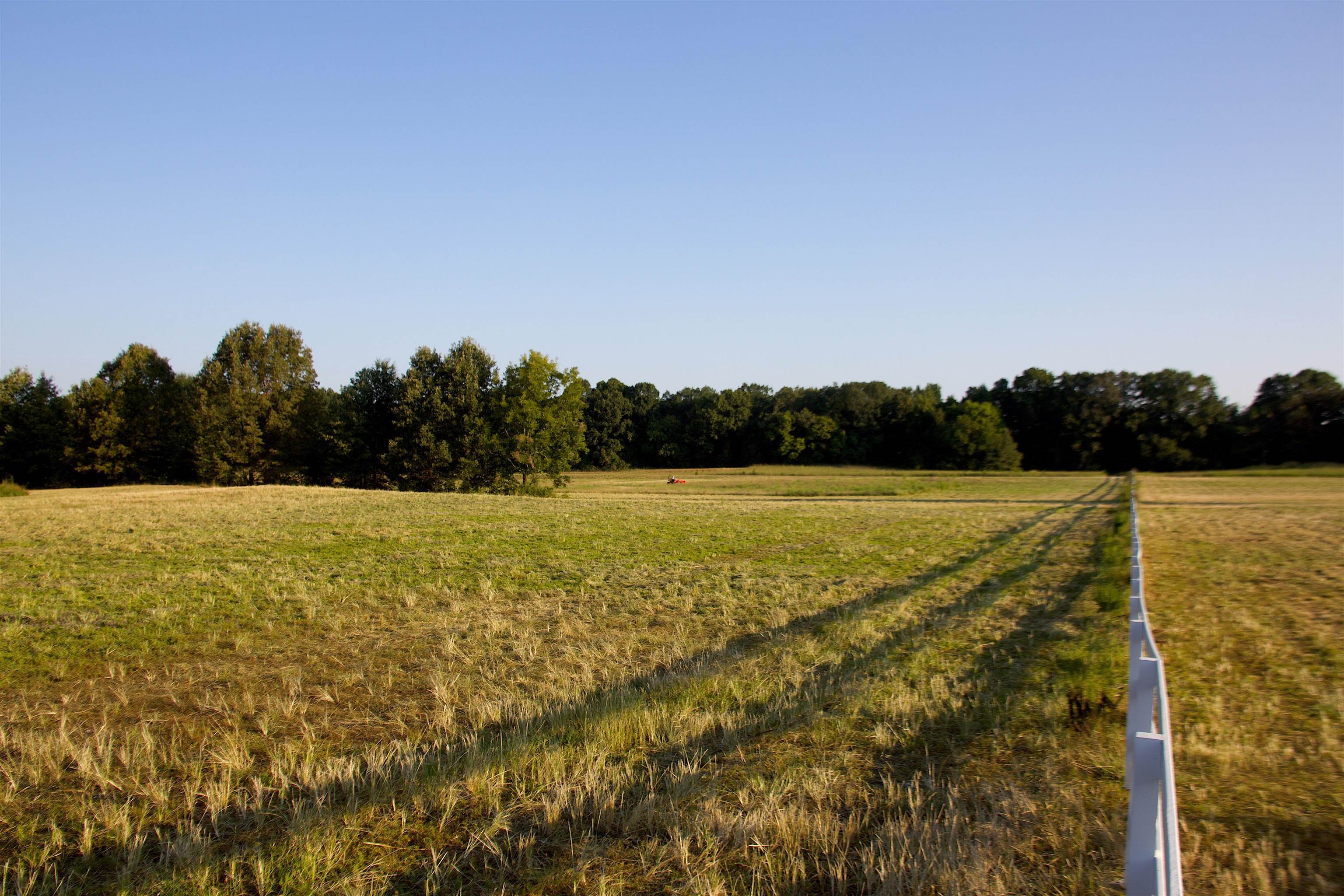 24275 Hwy 57 Hwy Property Photo 4