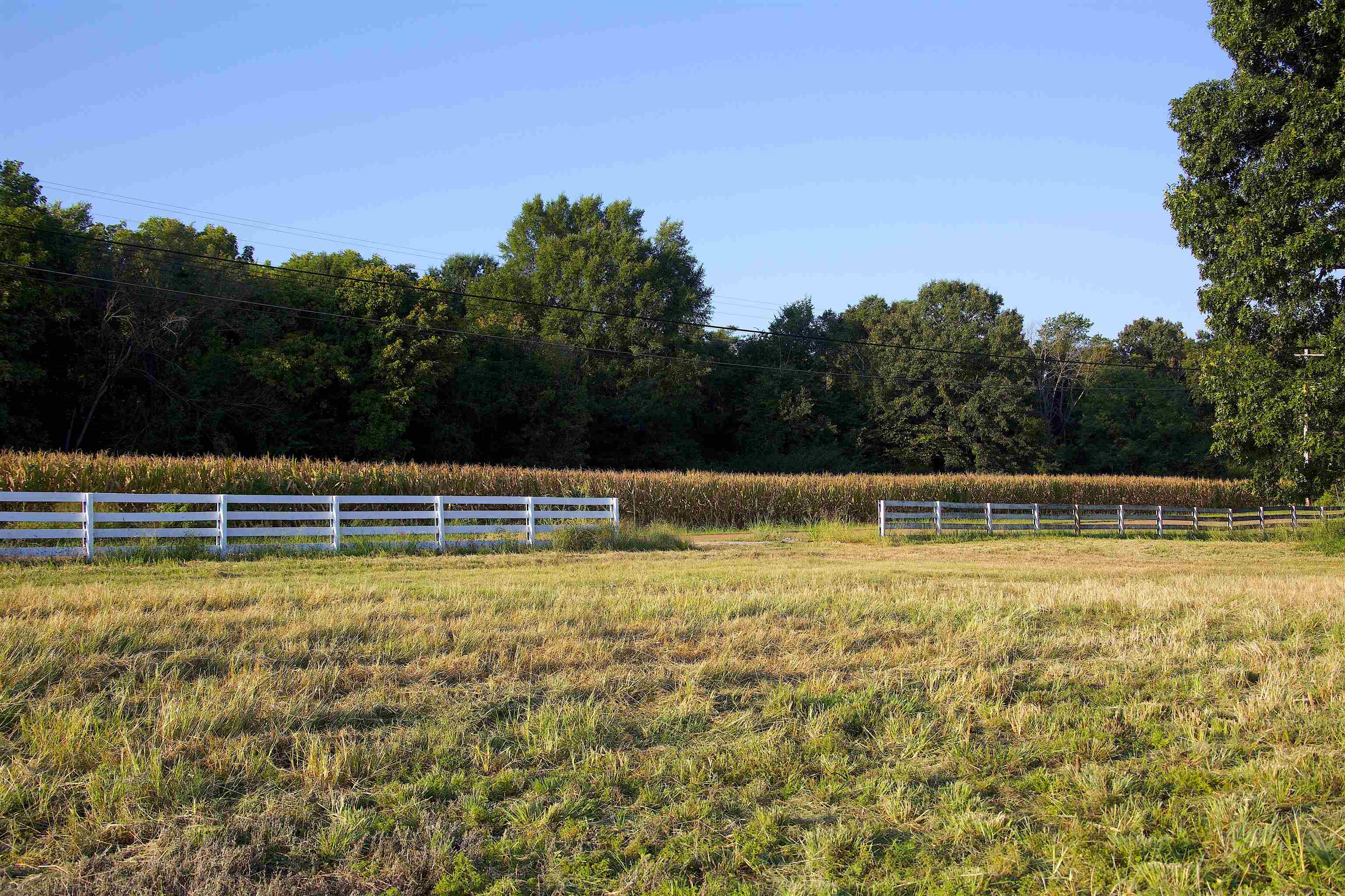 24275 Hwy 57 Hwy Property Photo 5
