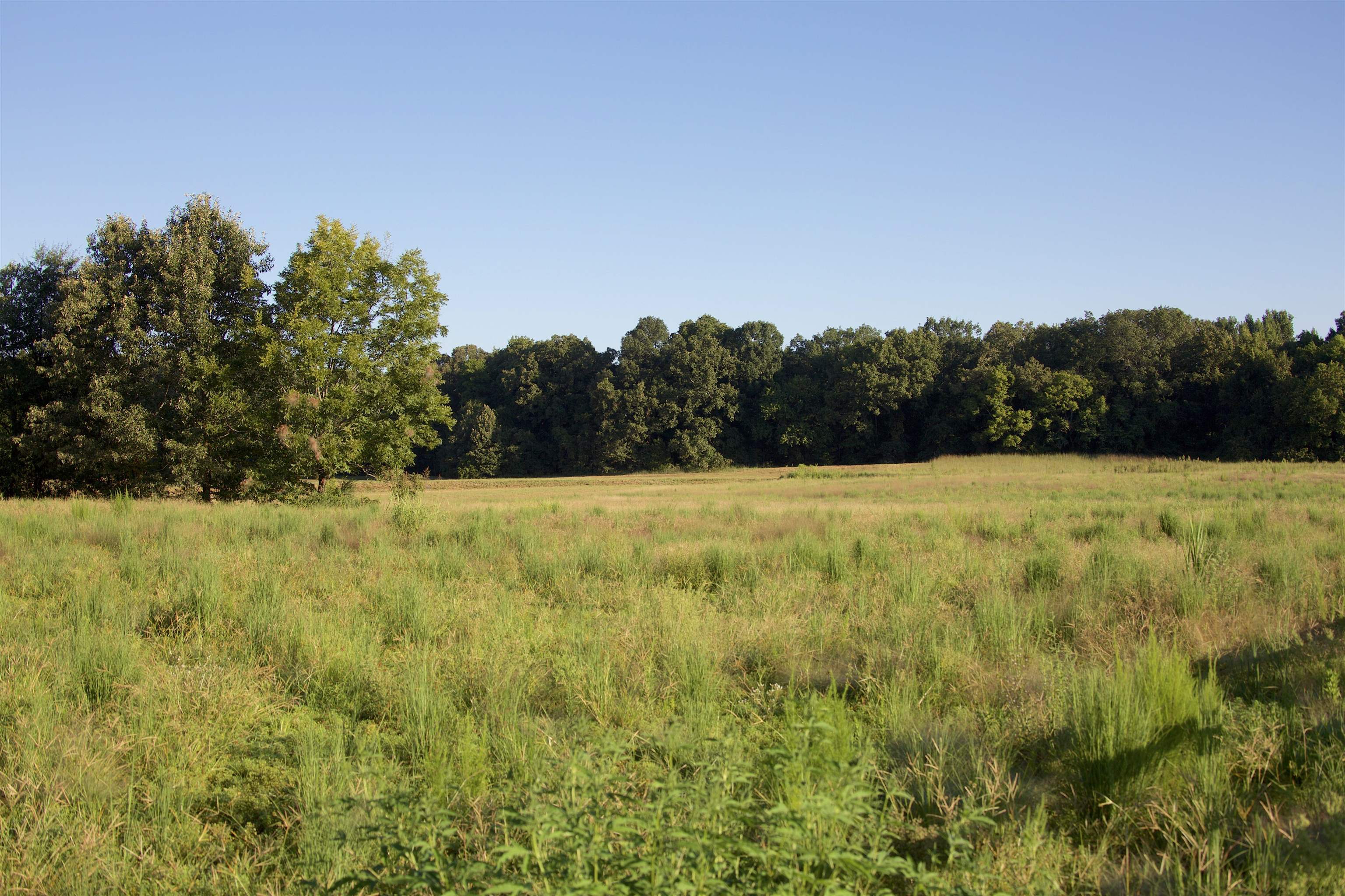 24275 Hwy 57 Hwy Property Photo 6