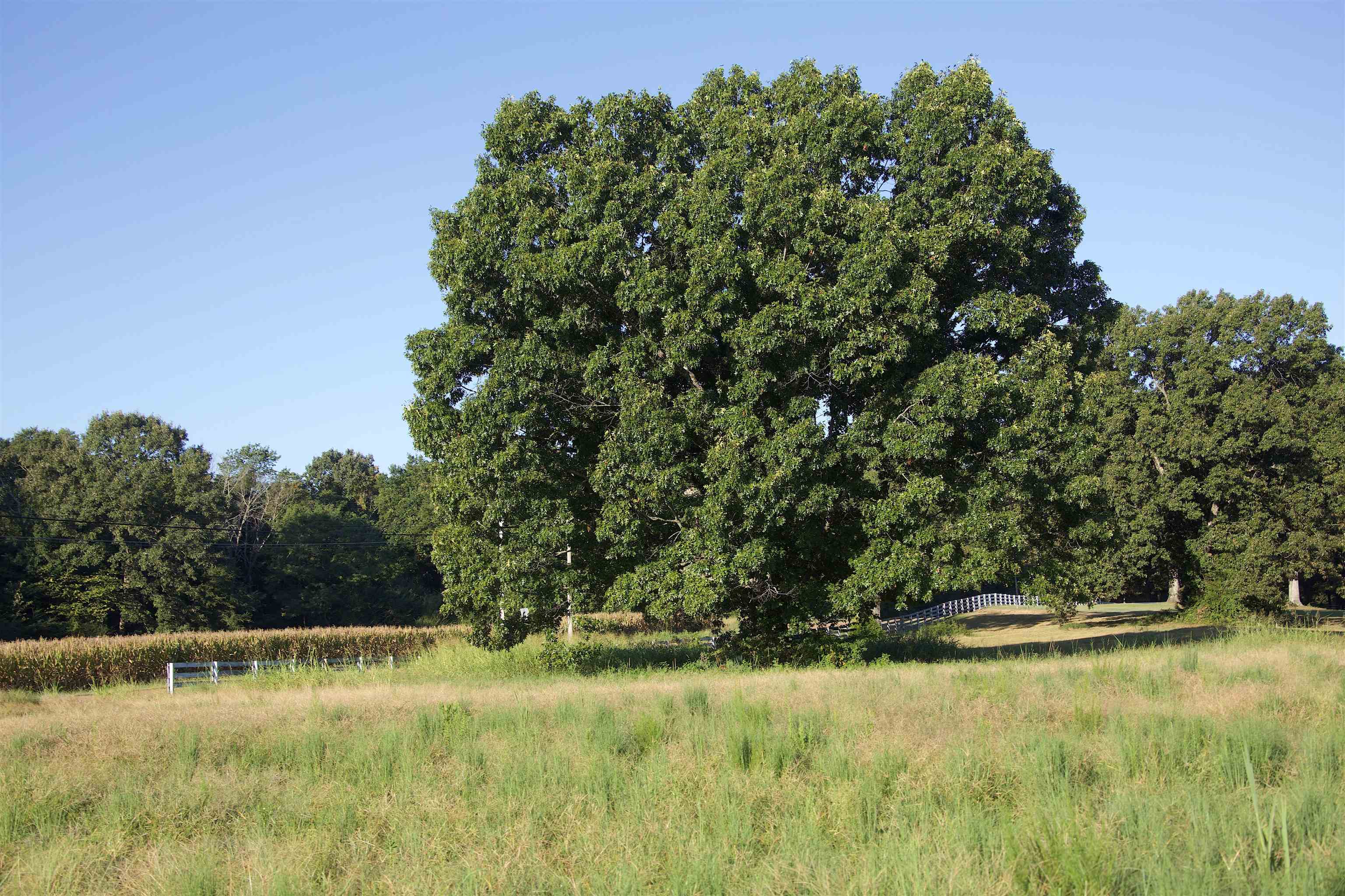 24275 Hwy 57 Hwy Property Photo 8