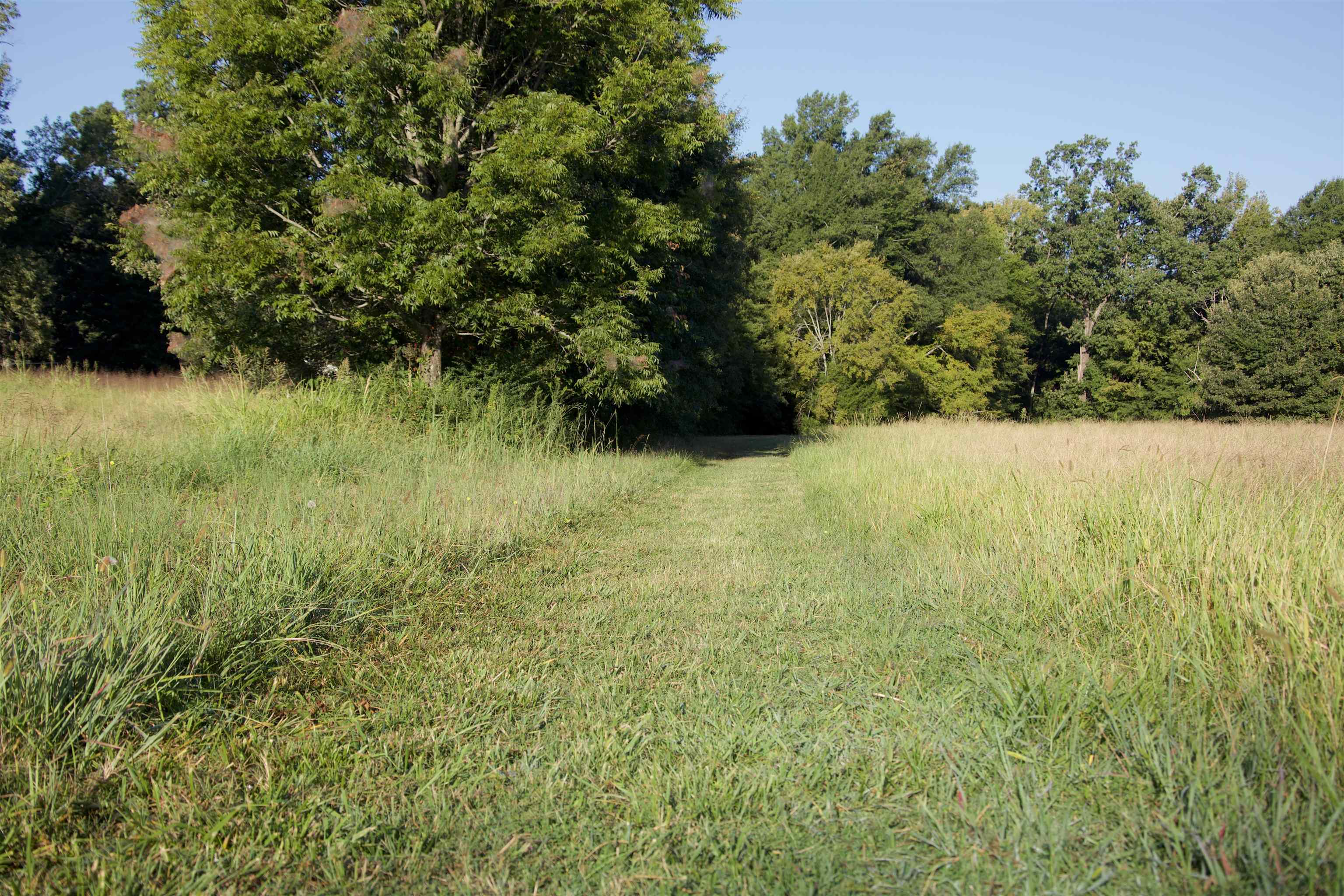 24275 Hwy 57 Hwy Property Photo 9