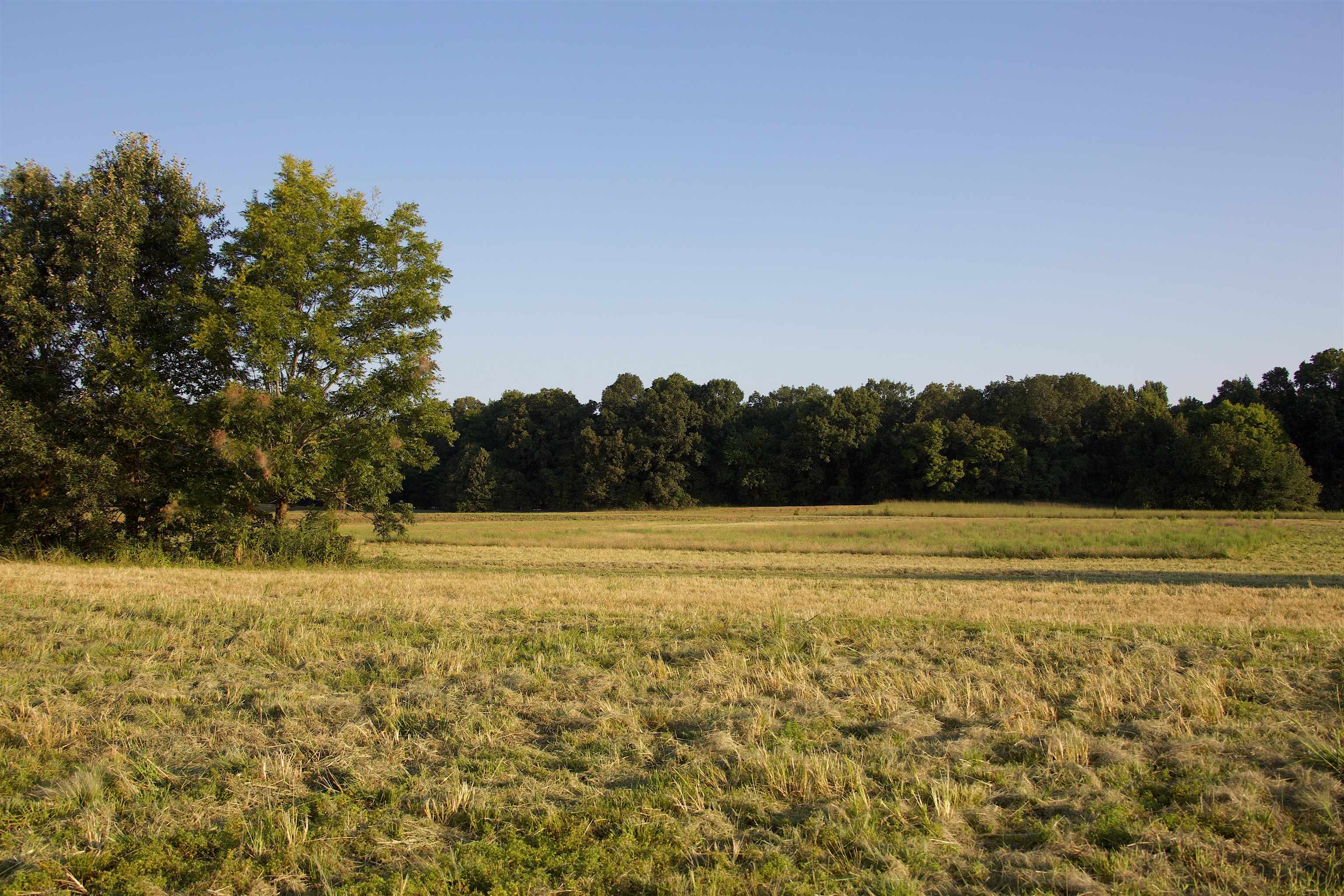 24275 Hwy 57 Hwy Property Photo 13