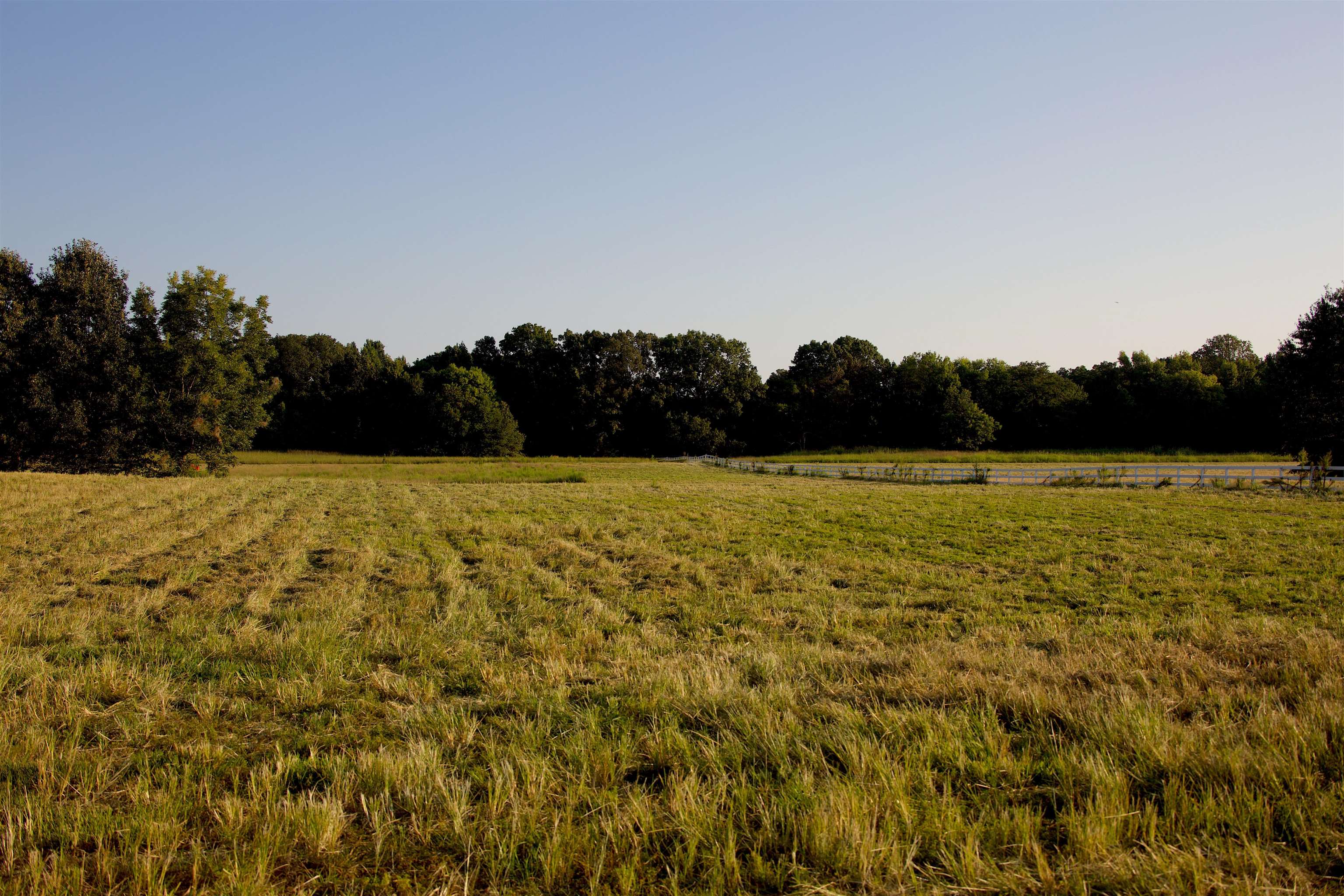 24275 Hwy 57 Hwy Property Photo 15