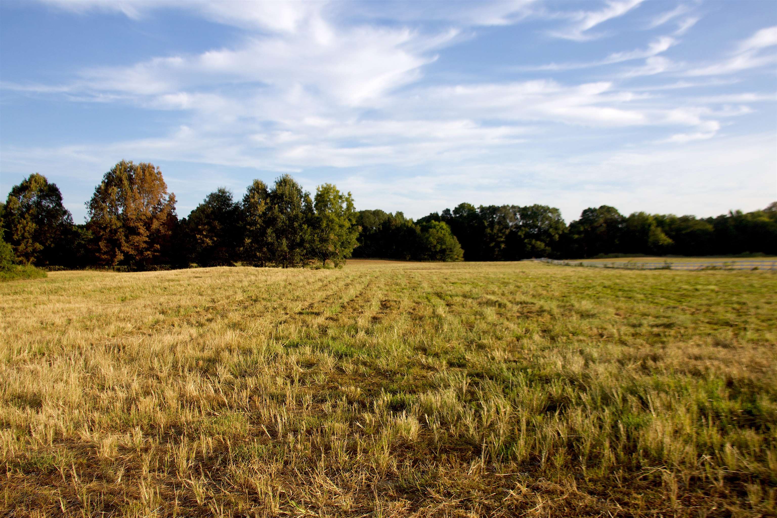 24275 Hwy 57 Hwy Property Photo 16