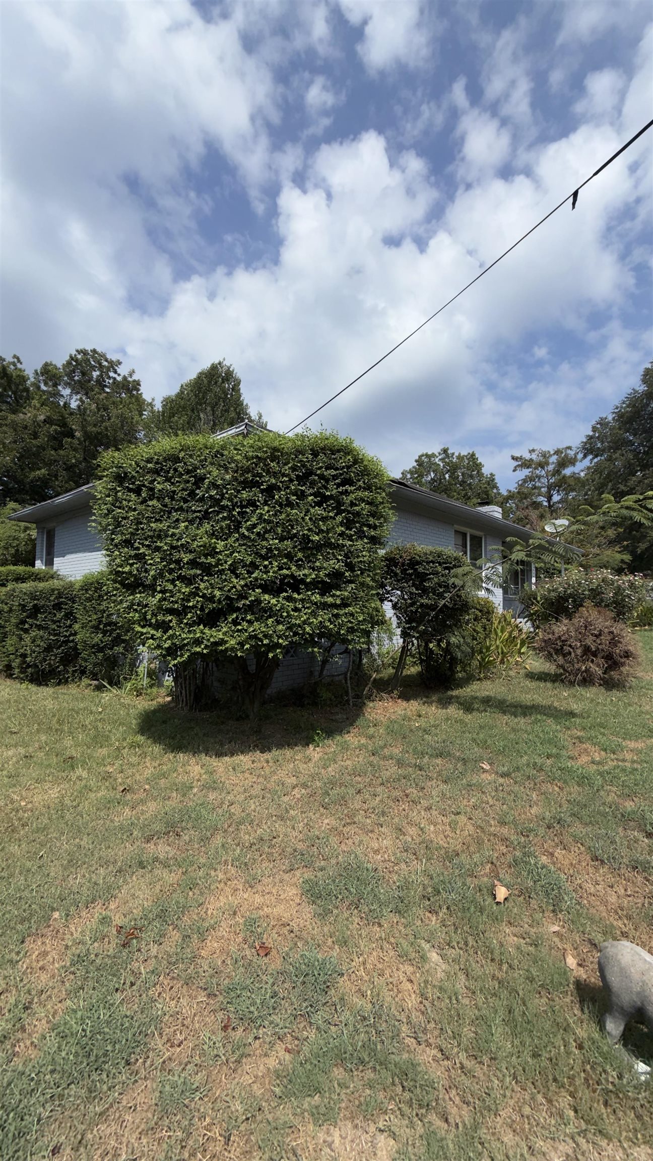 4049 Balfour St Property Photo 3