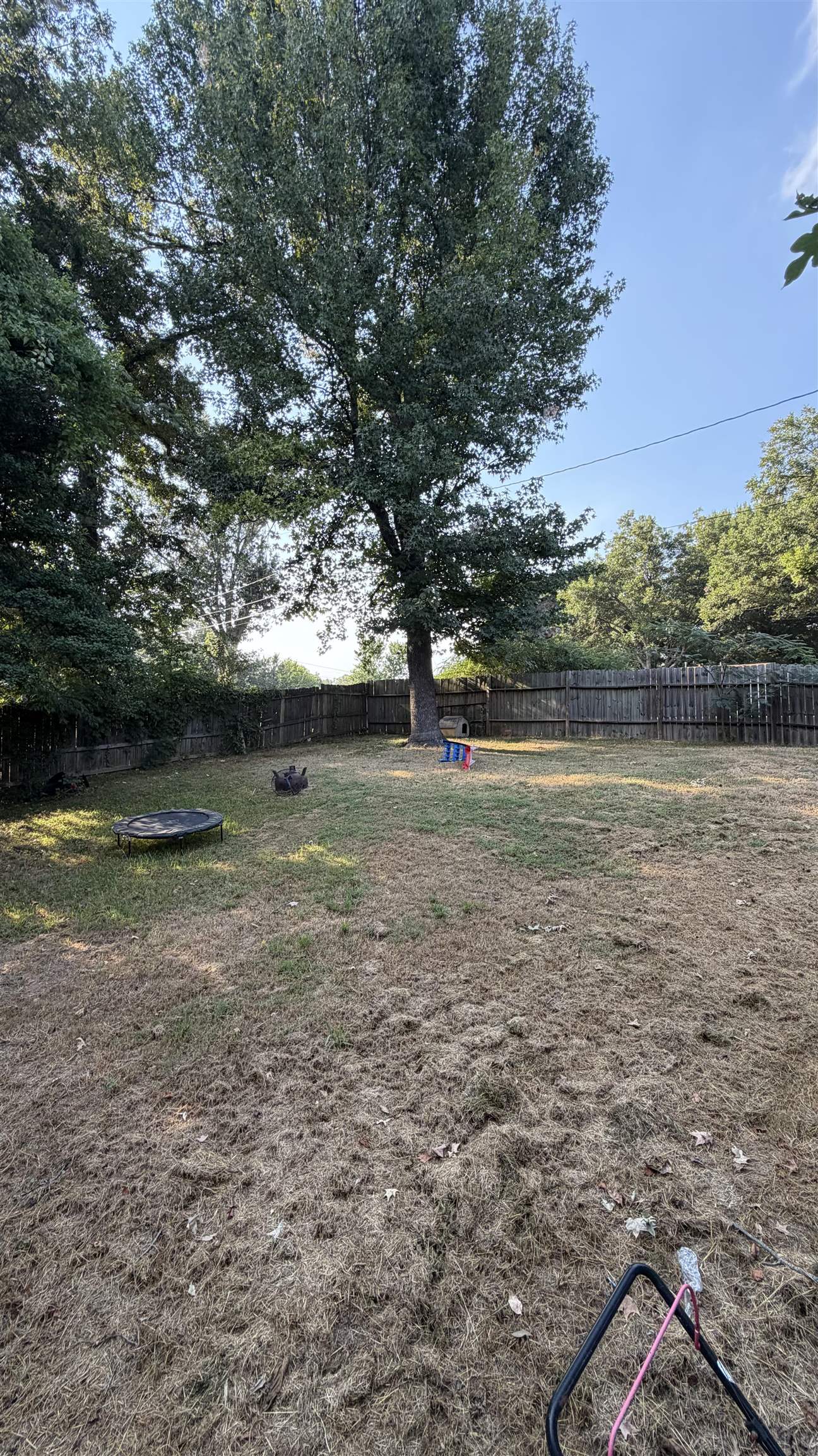 4049 Balfour St Property Photo 12