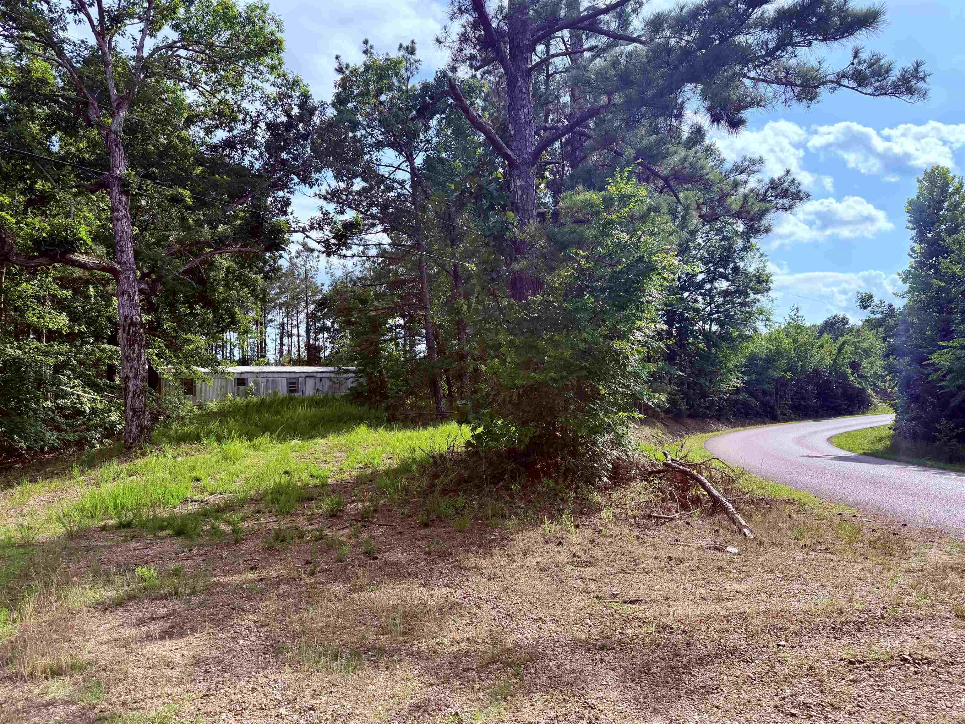 950 Feddie Davis Rd Property Photo 2