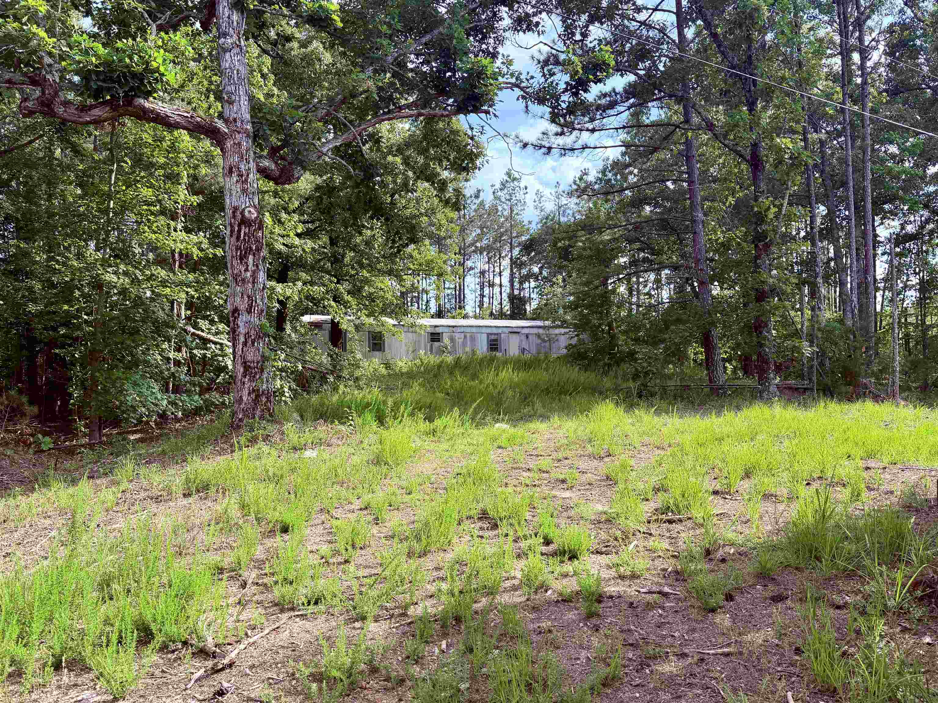 950 Feddie Davis Rd Property Photo 3