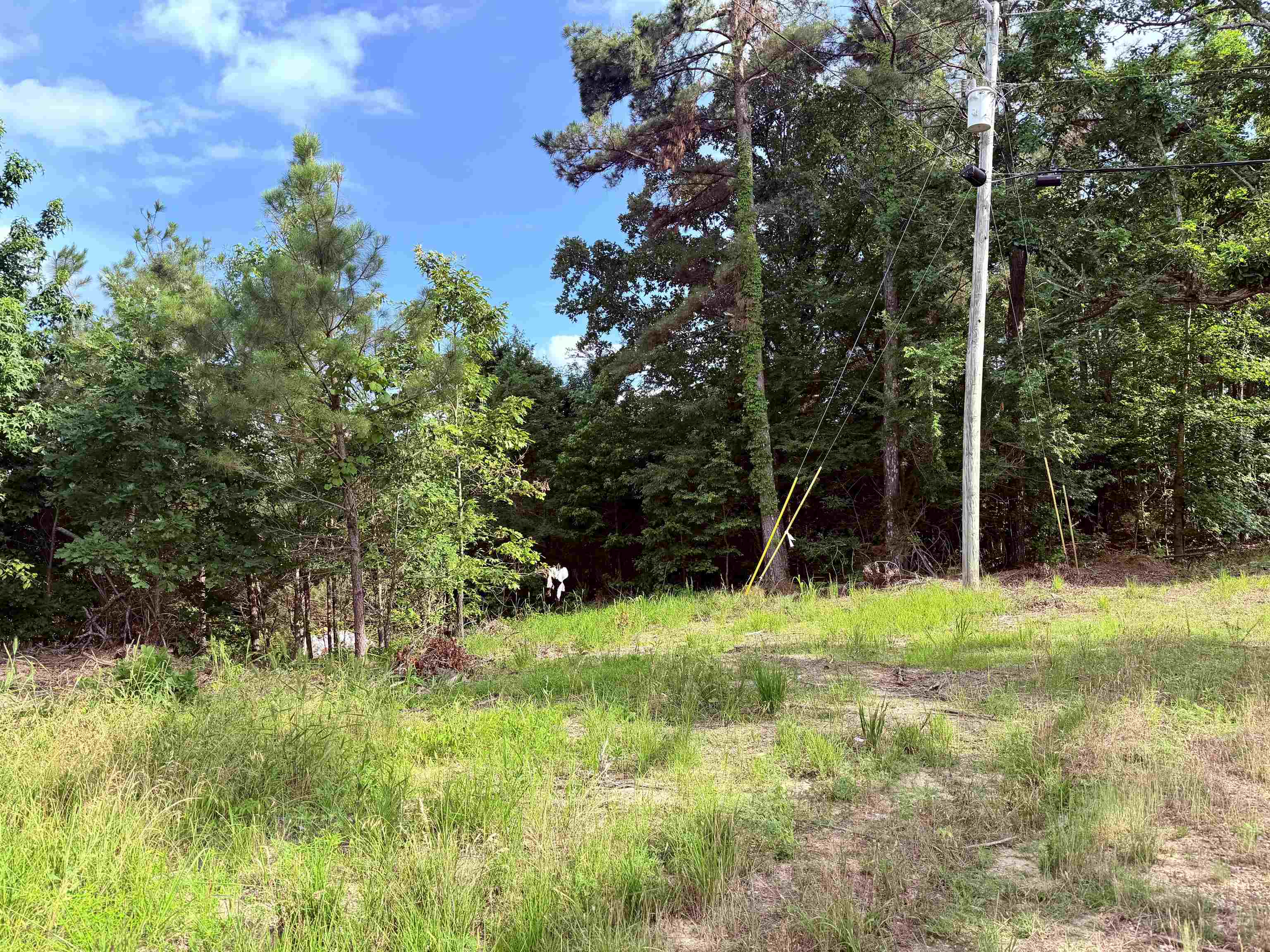 950 Feddie Davis Rd Property Photo 4