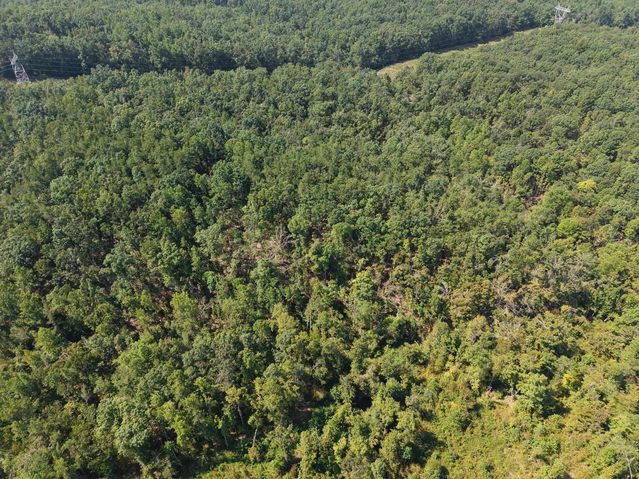 0 Megan Ln Property Photo 3