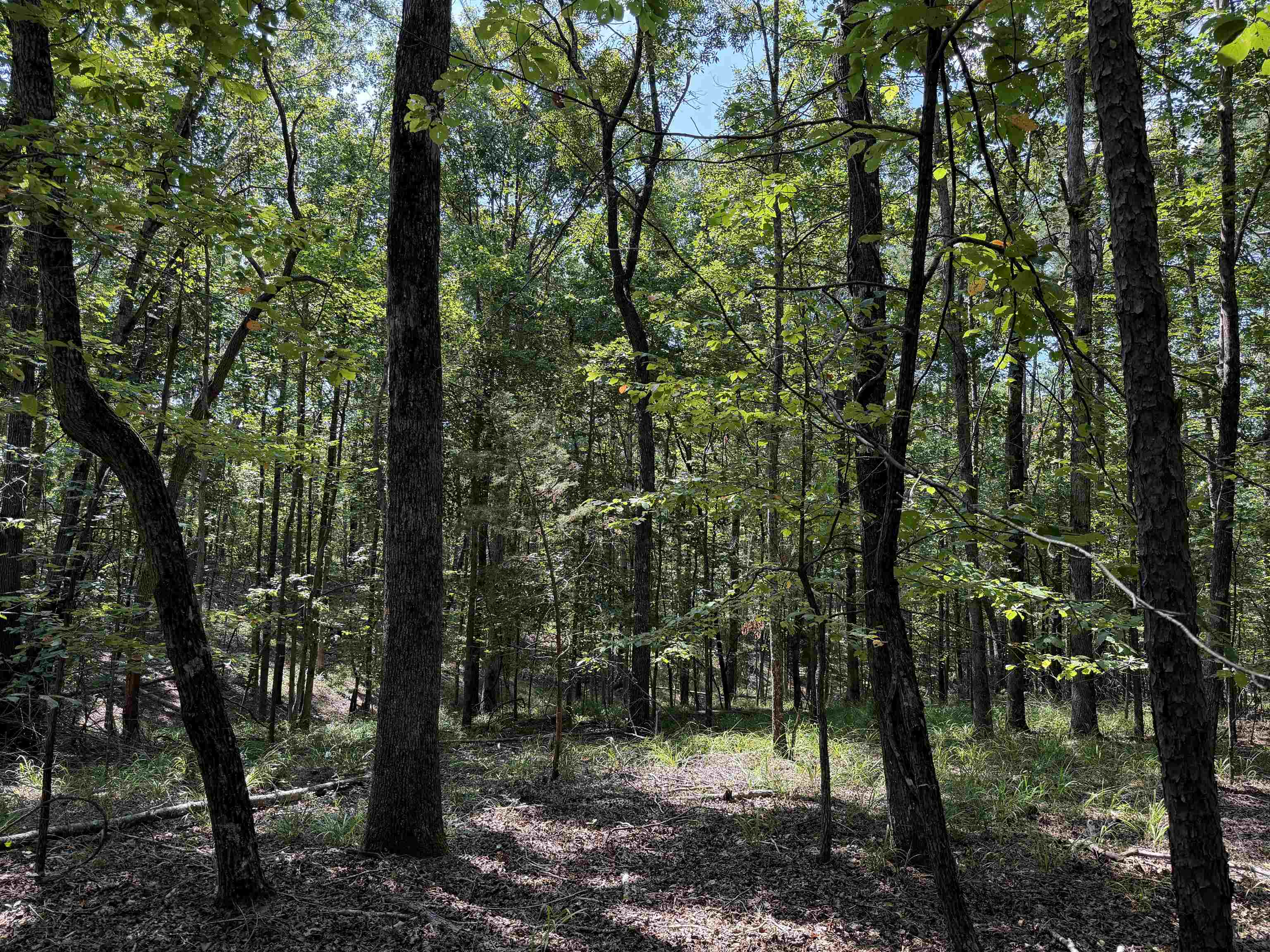 0 Megan Ln Property Photo 6